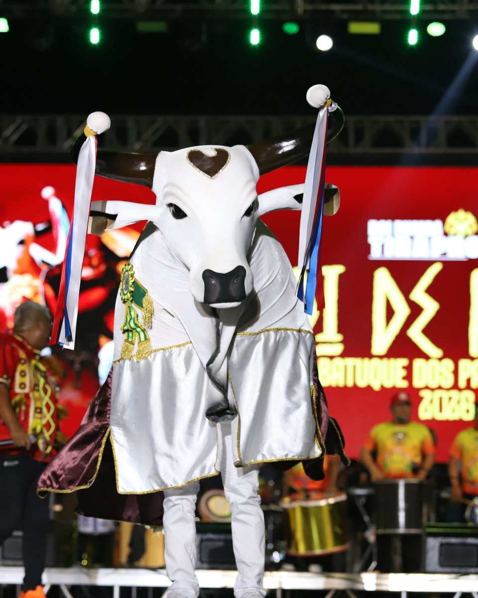 Boi de pano branco de um bumbá de Manaus dançando no palco do Boi Manaus, com fitas coloridas nos chifres e a batucada em camisas amarelas ao fundo.