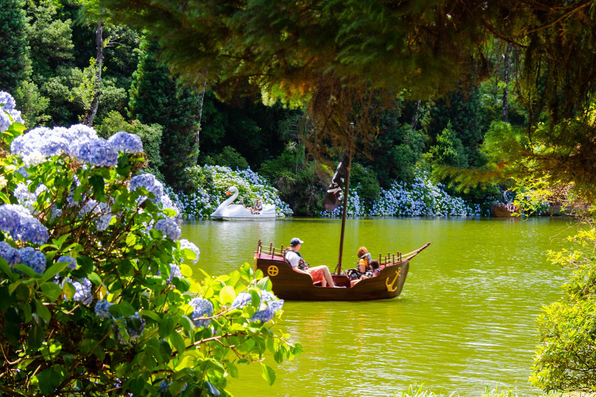 Turistas num pedalinho no Lago Negro, em Gramado, com hortênsias azuis na margem.