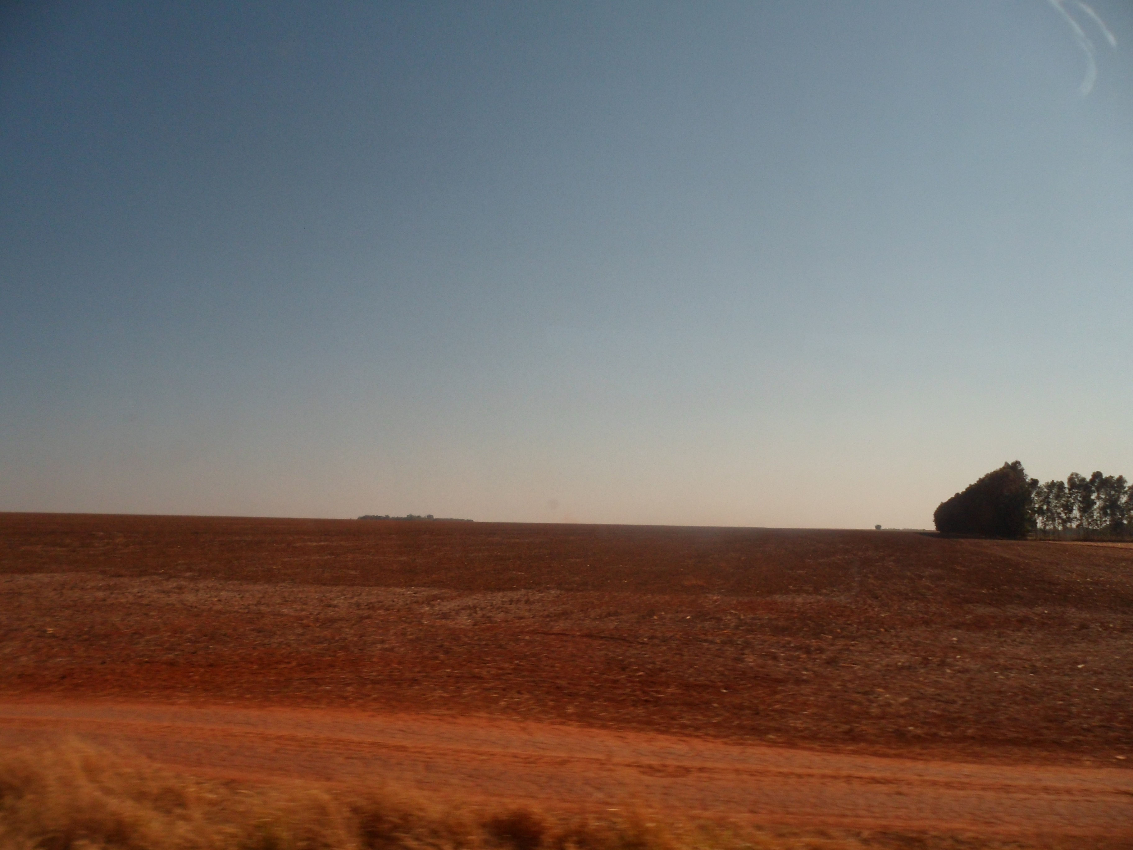 Outra vista de uma plantação de soja em Vilhena, Rondônia, com as carreiras da lavoura se estendendo até o horizonte.