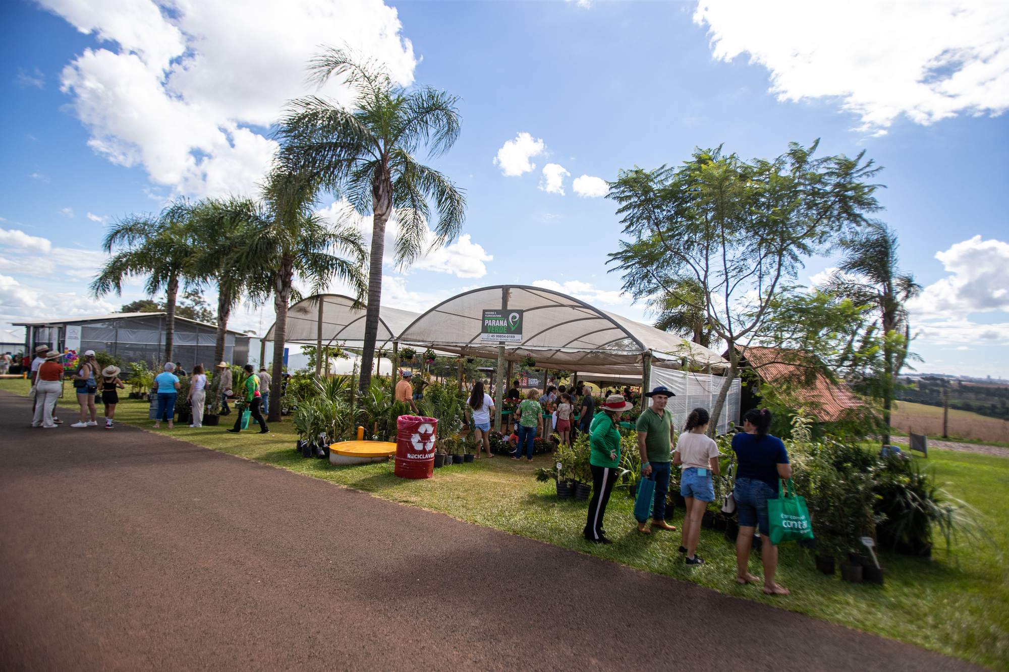 Visitantes de chapéu, boné e sacola caminhando por uma rua do parque do Show Rural Coopavel, em Cascavel, diante de um viveiro de mudas coberto por tela, entre palmeiras e céu azul.