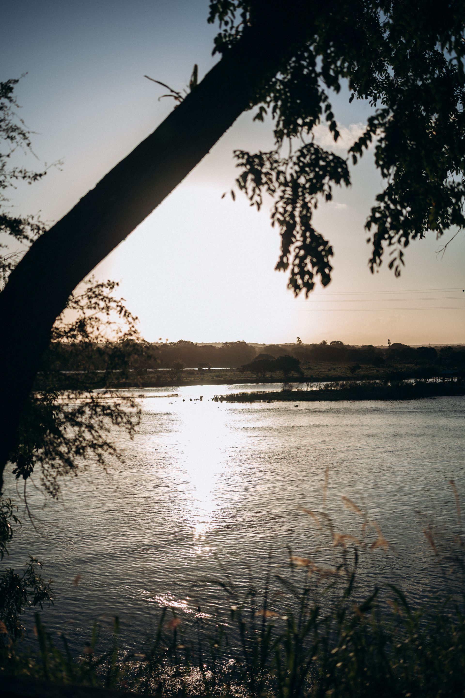 Pôr do sol sobre o Rio São Francisco em Penedo, com silhuetas de árvores refletidas na água