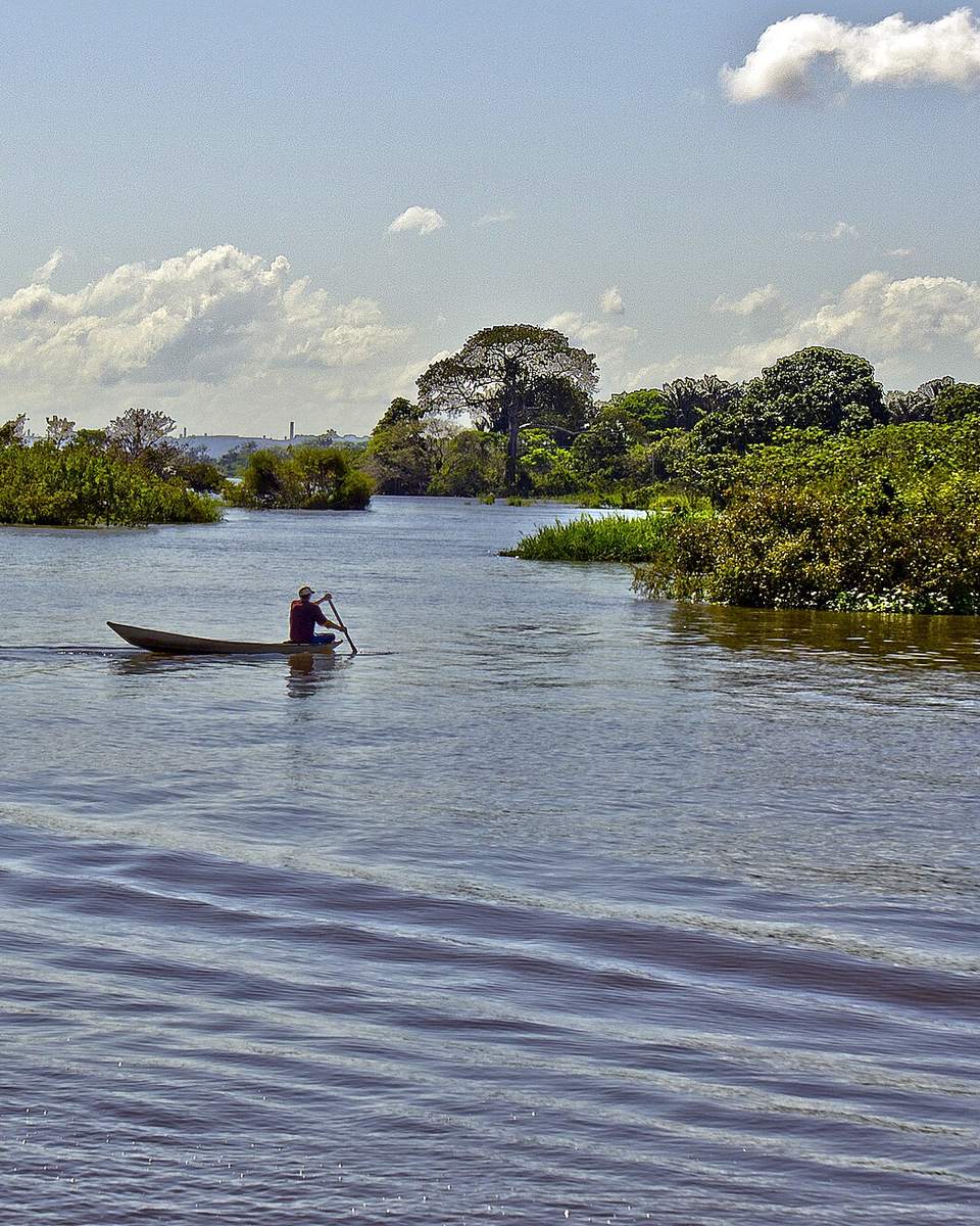 Canoeiro remando sozinho numa canoa de madeira estreita pelo rio Negro, no Amazonas, com moitas de vegetação alagada de um lado e céu azul com nuvens ao fundo.
