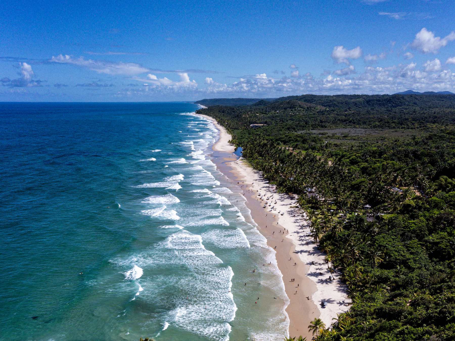 Praia de Itacarezinho vista do alto, com ondas brancas quebrando na areia comprida e o coqueiral da mata atlântica ao lado.
