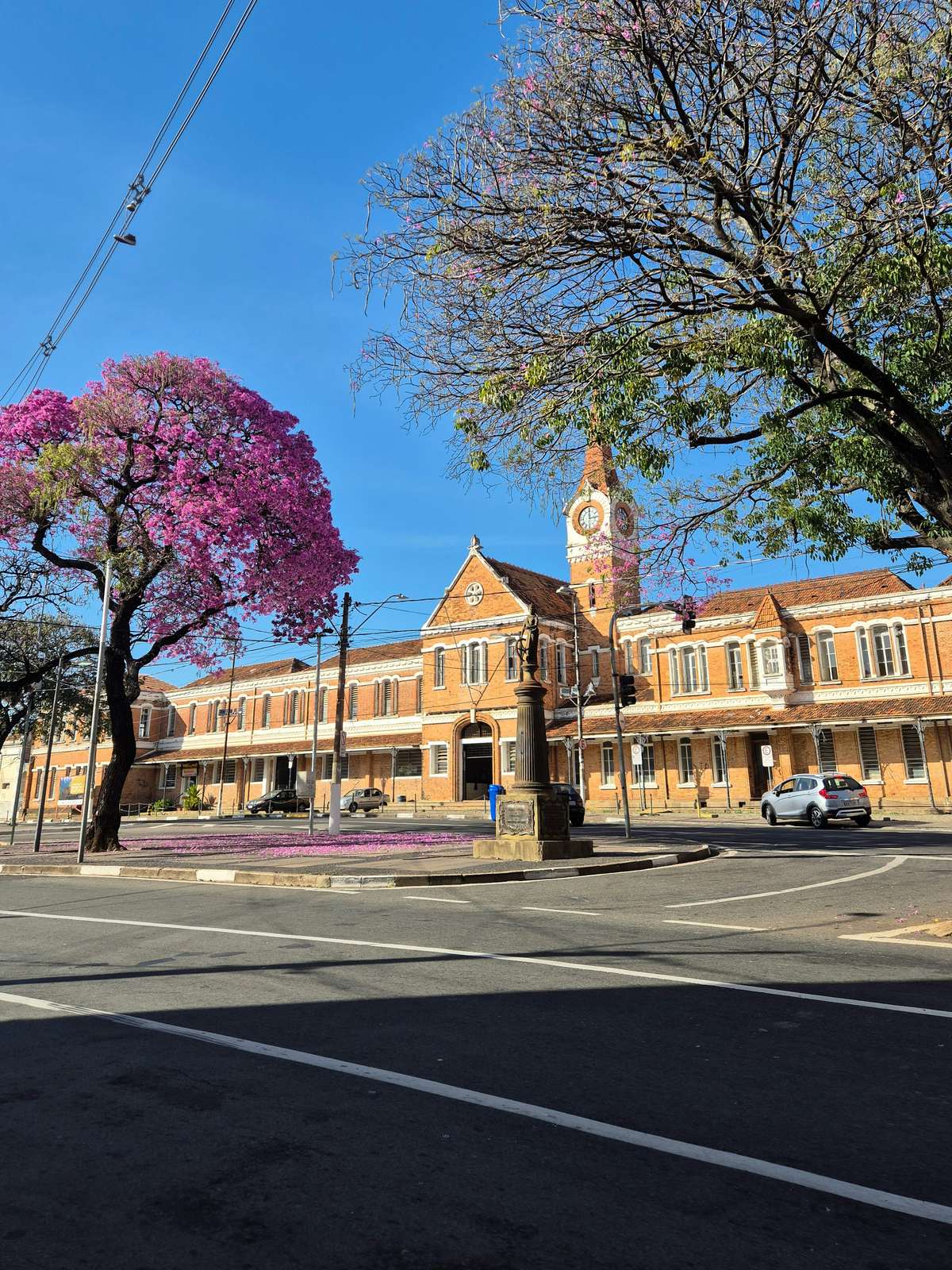 Prédio histórico da Estação Cultura, em Campinas, com ipê florido na frente.