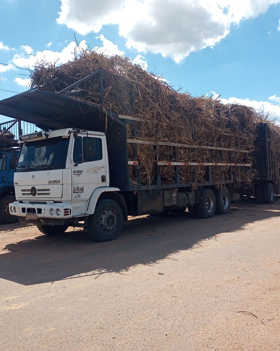 Caminhão carregado de cana-de-açúcar numa estrada de terra em Campos dos Goytacazes.