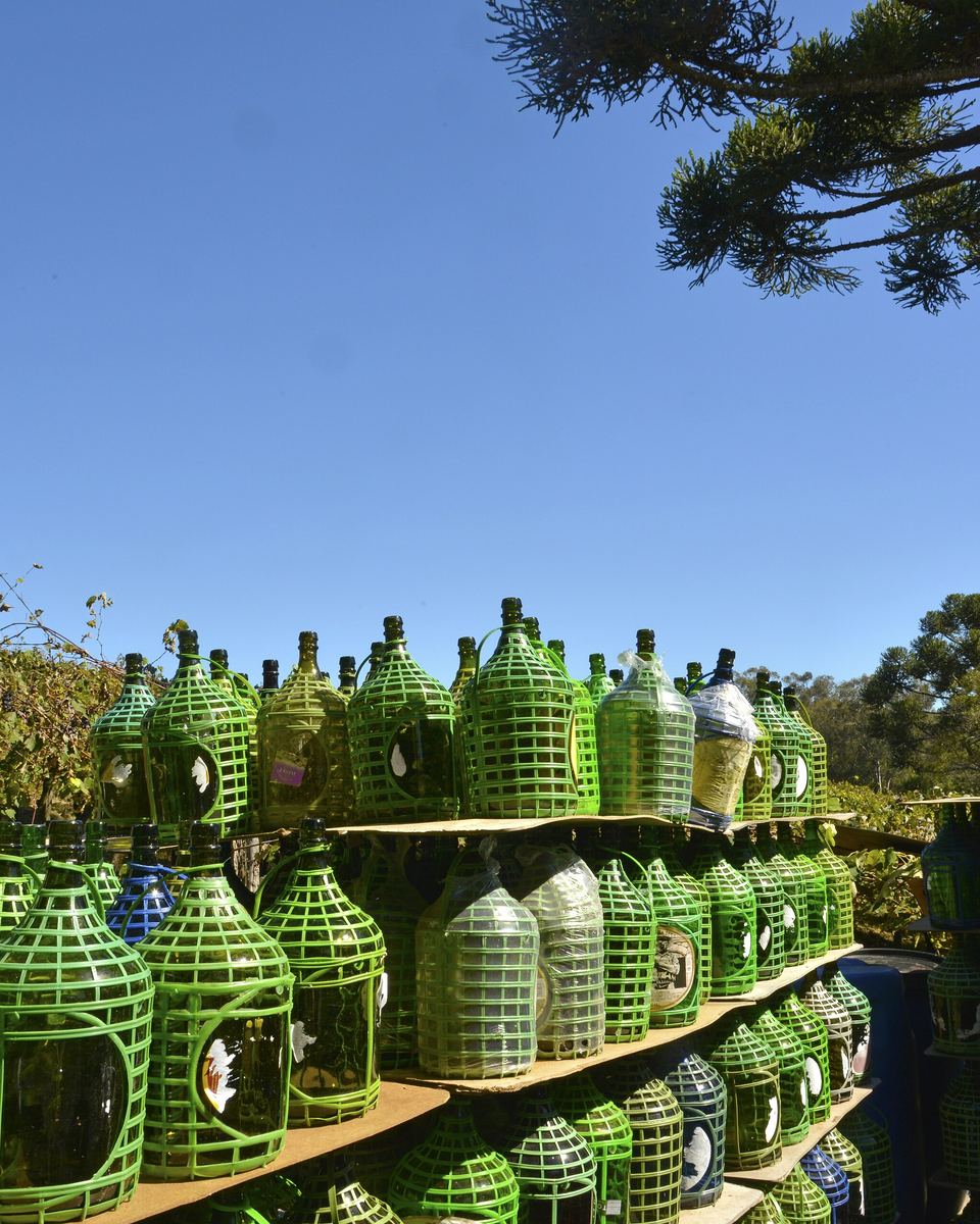Garrafões de vinho empalhados em verde empilhados ao ar livre numa cantina dos Caminhos da Colônia, em Caxias do Sul.
