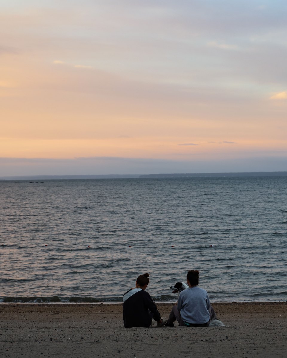 Duas pessoas e um cachorro sentados na areia de uma praia de Stamford, de frente para o Long Island Sound, no fim de tarde.