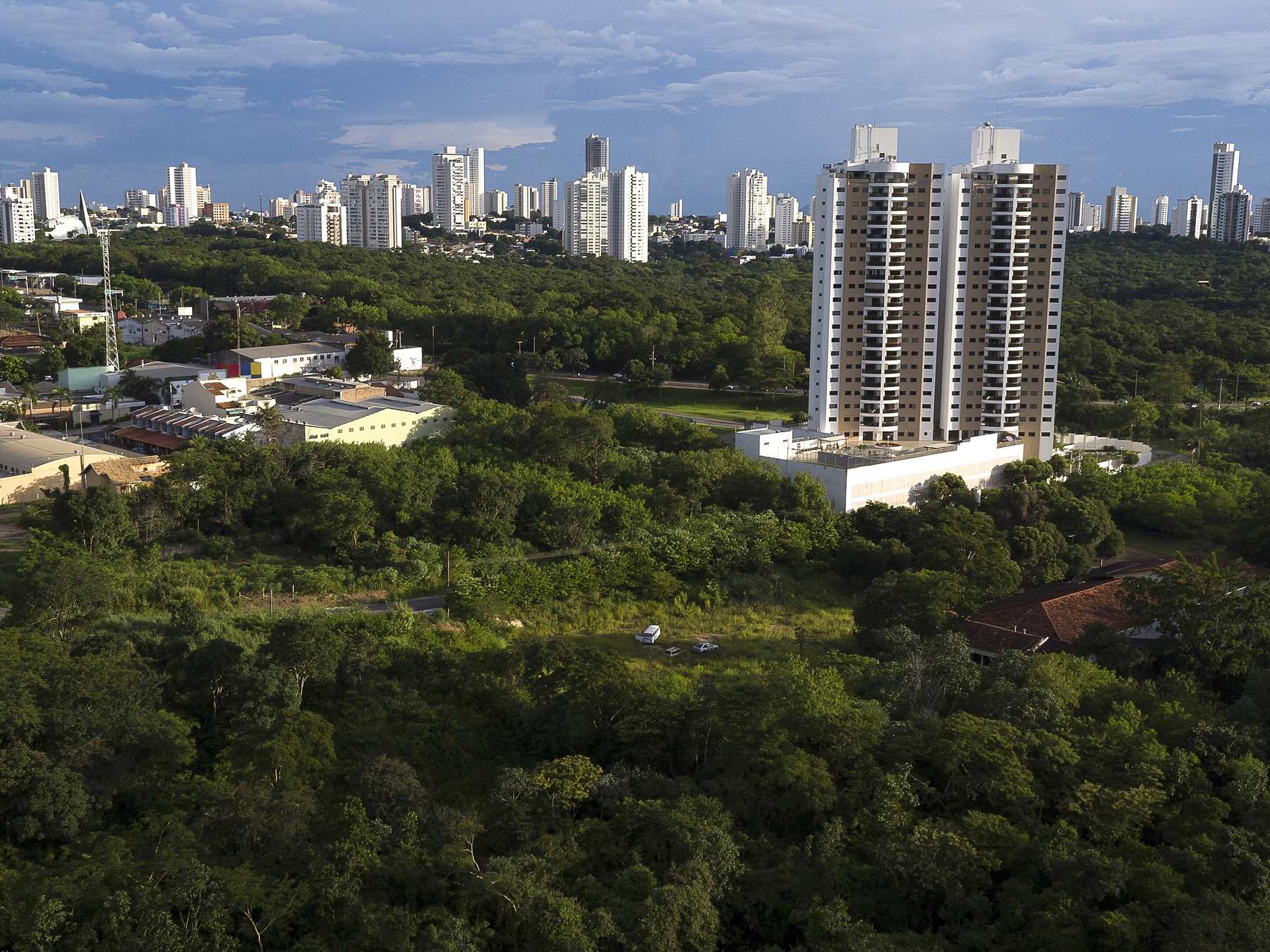 Parque Mãe Bonifácia visto do alto, com a mata de cerrado verde ocupando todo o primeiro plano e os prédios altos de Cuiabá no horizonte, em luz de fim de tarde