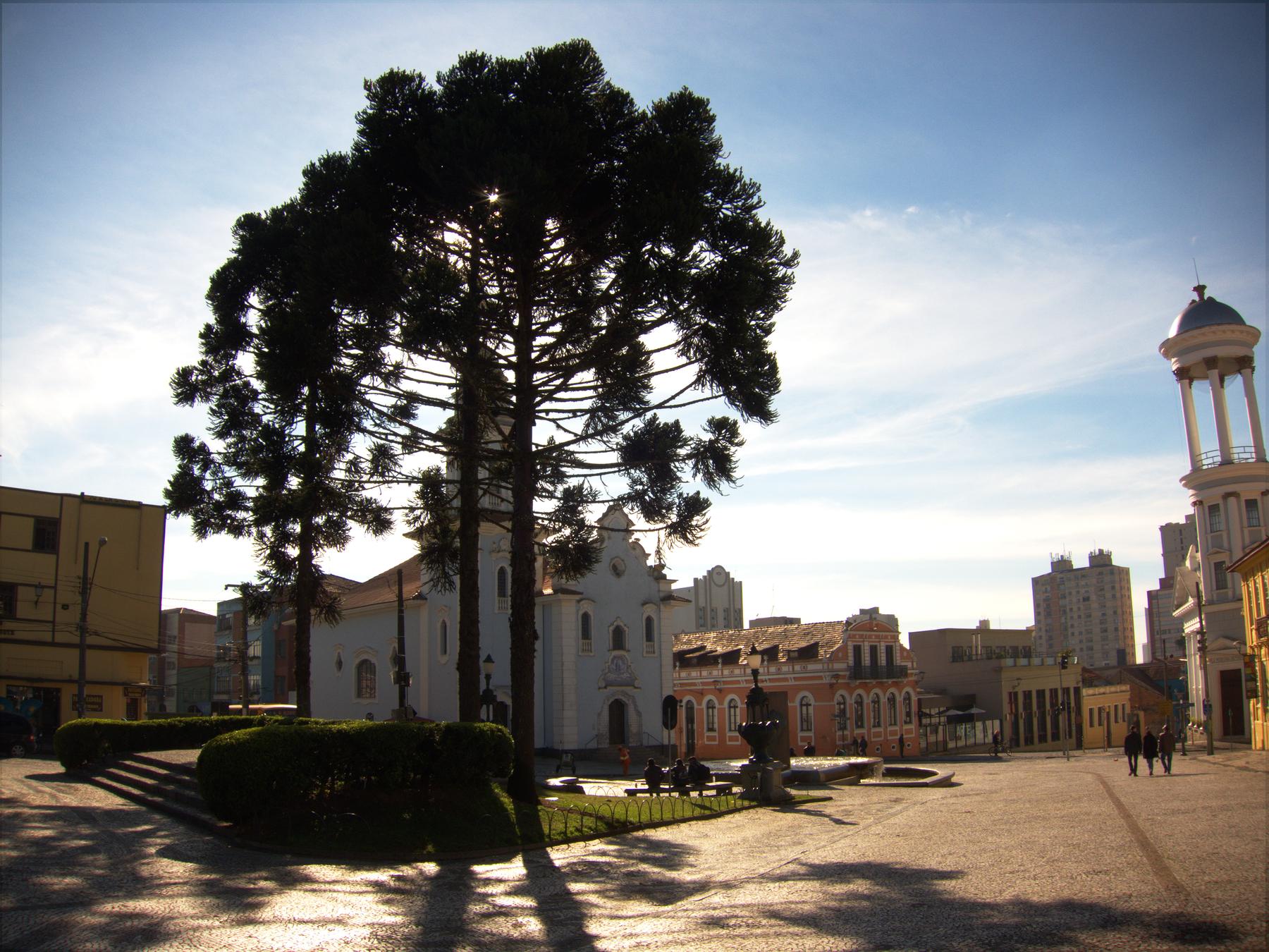 Araucárias na praça do Largo da Ordem no fim de tarde, com a igreja branca, casarões históricos e a torre do Belvedere ao fundo sob céu azul.