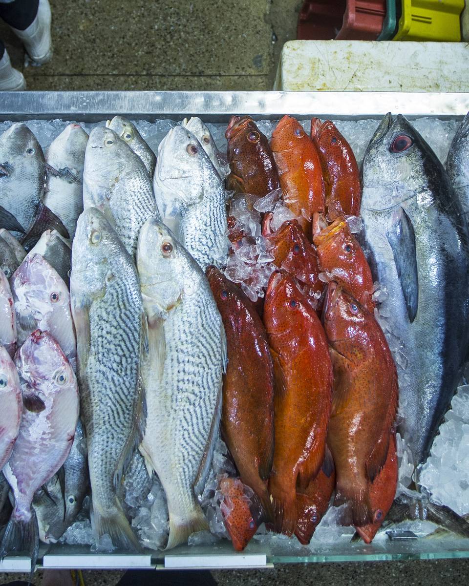 Banca de peixe fresco sobre o gelo no Mercado da Vila Rubim, com o vendedor atrás do balcão.