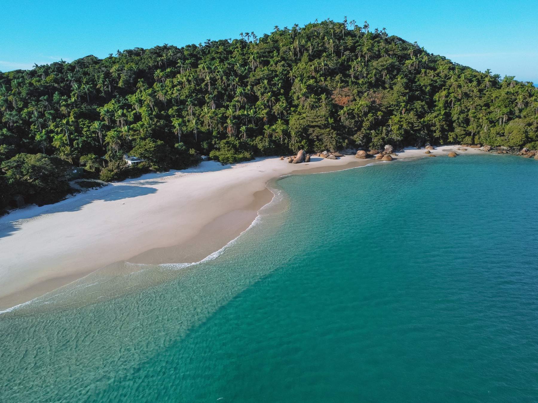 Ilha do Campeche vista do alto, com a mata atlântica fechada cobrindo o morro, a faixa de areia branca e a água azul-turquesa e transparente em frente à praia.