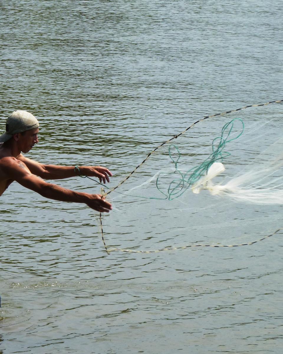 Pescador com água pela canela lançando a tarrafa aberta no ar, nas águas calmas do Ribeirão da Ilha, em Florianópolis.