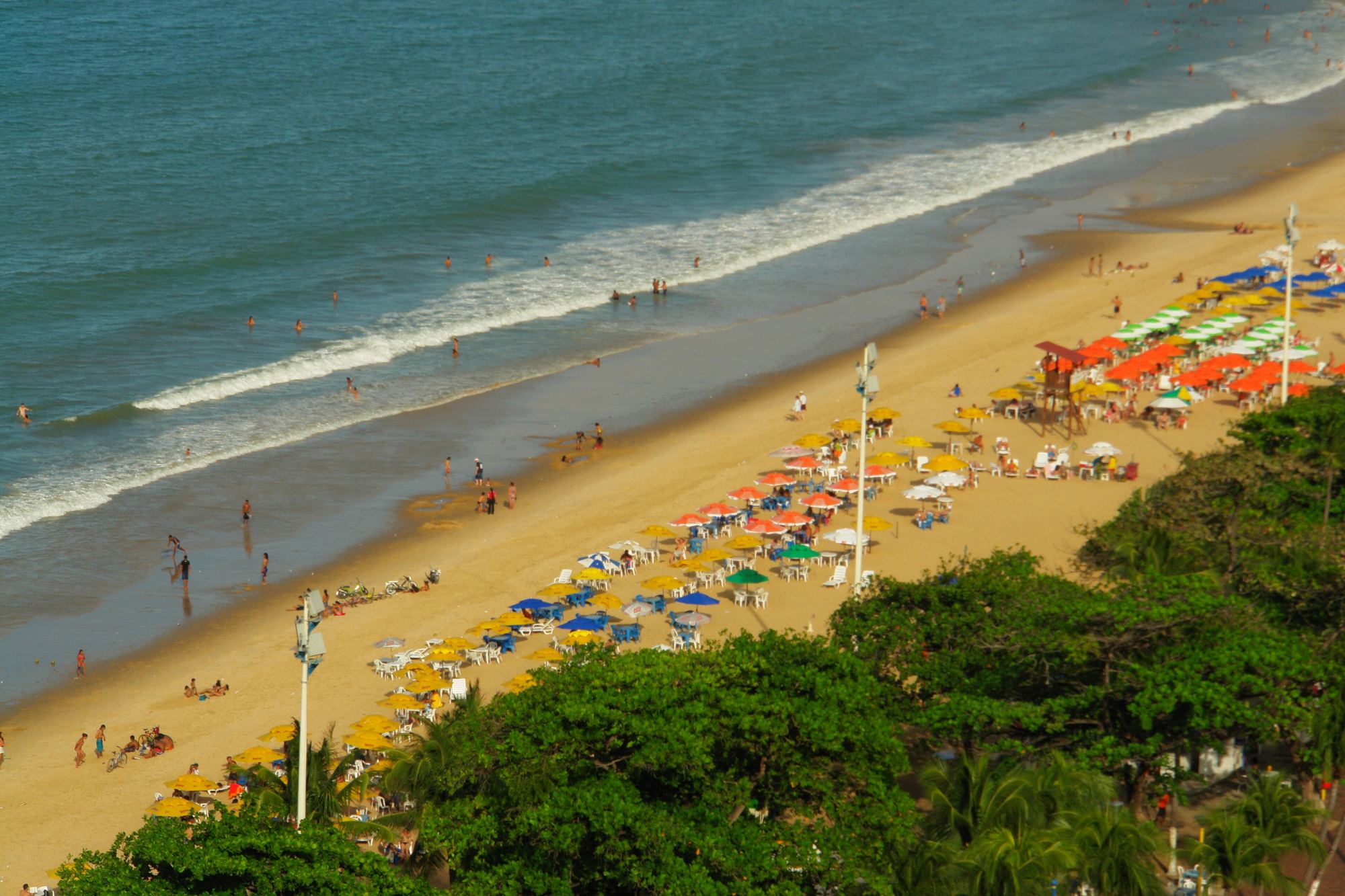 Praia de Iracema, em Fortaleza, vista do alto num dia de sol, com a faixa de areia cheia de guarda-sóis coloridos, banhistas na beira do mar esverdeado e as copas das árvores da orla em primeiro plano.