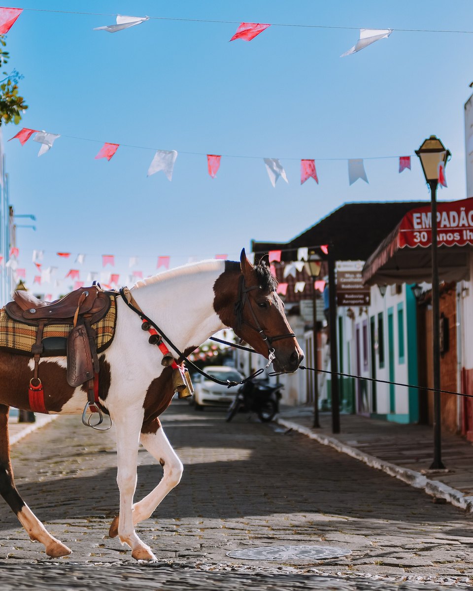 Cavalo malhado de branco e marrom, selado, parado numa rua de pedra de Pirenópolis, com casas coloniais, bandeirinhas penduradas, a placa de uma loja de empadão goiano e um rapaz de calça vermelha caminhando ao lado.