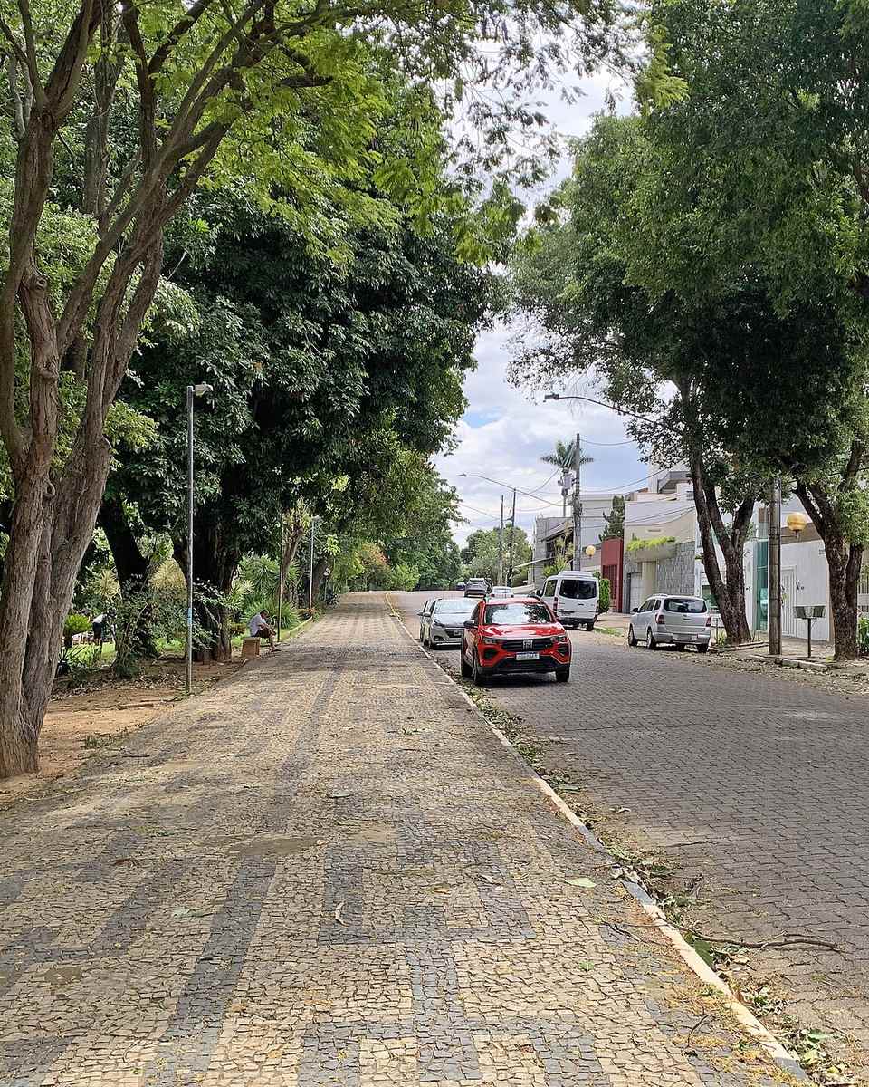 Calçadão de pedra portuguesa arborizado na Ilha dos Araújos, em Governador Valadares, com árvores grandes à esquerda, a rua de paralelepípedo e carros estacionados à direita e pessoas caminhando ao longe num dia claro.