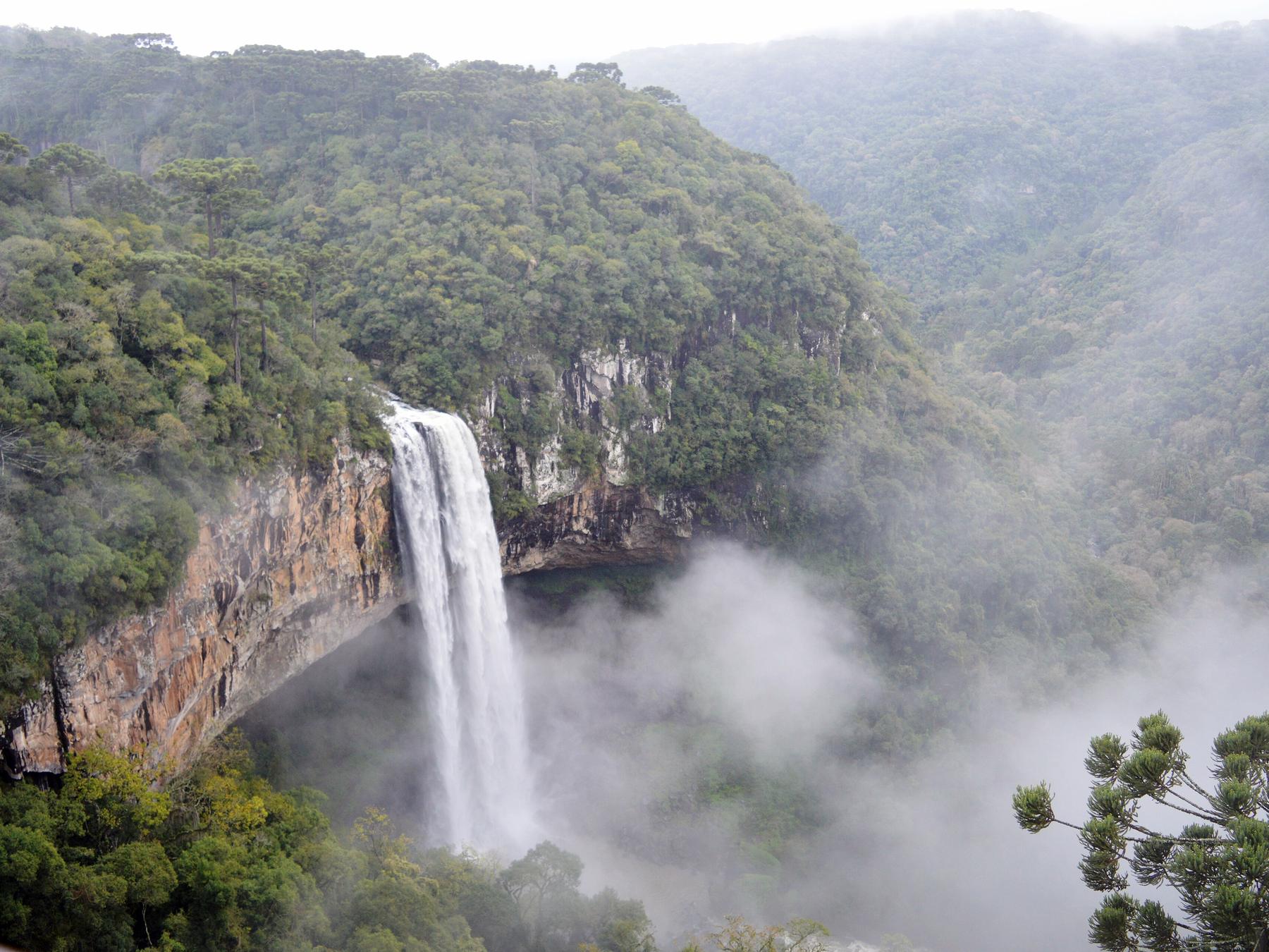 Cascata do Caracol, em Canela, caindo pela parede de pedra no meio da mata, com a neblina subindo do vale e uma araucária no canto da foto.