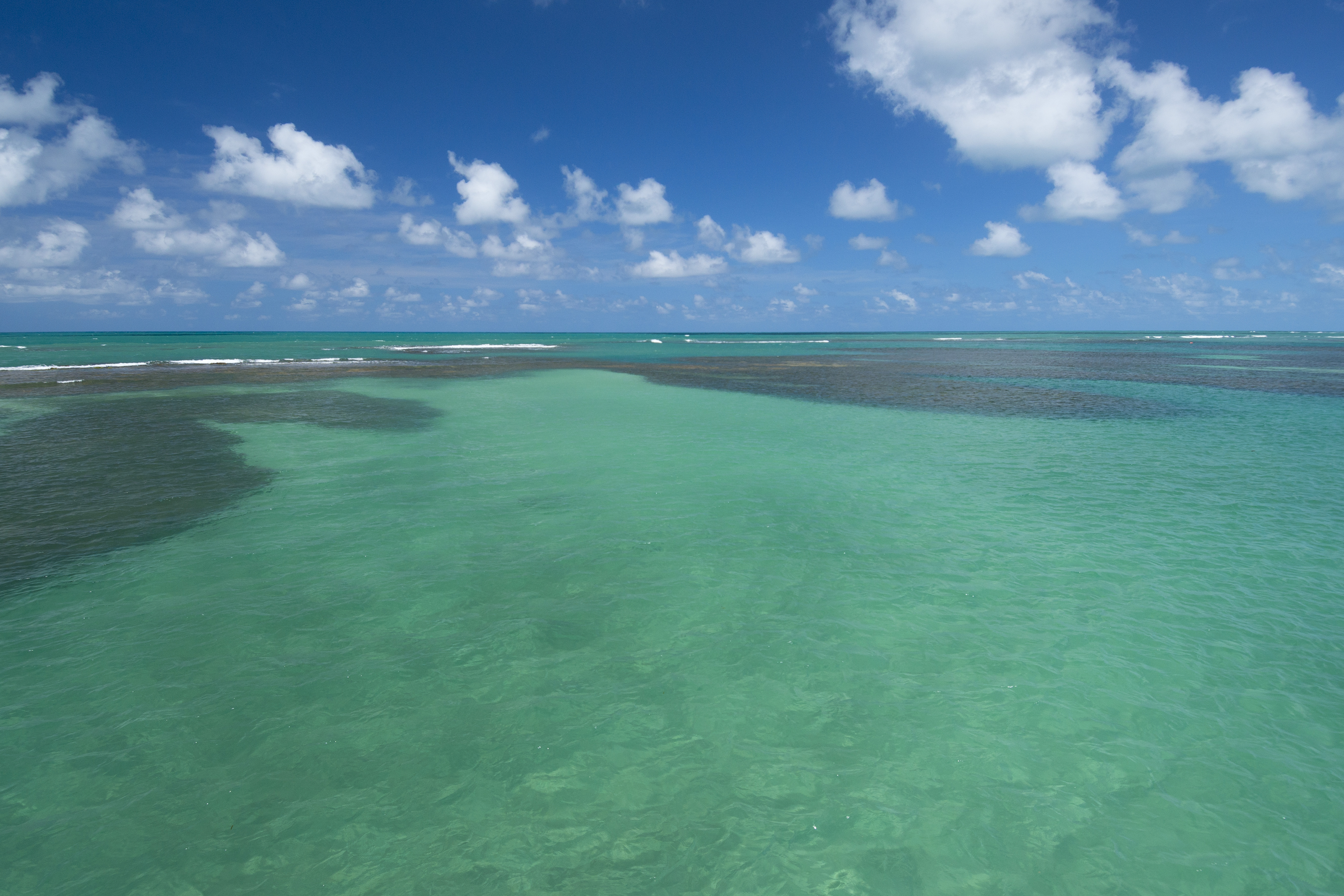 Vista aérea das piscinas naturais do Seixas, em João Pessoa, com o banco de recifes formando poças verde-esmeralda em meio ao mar azul