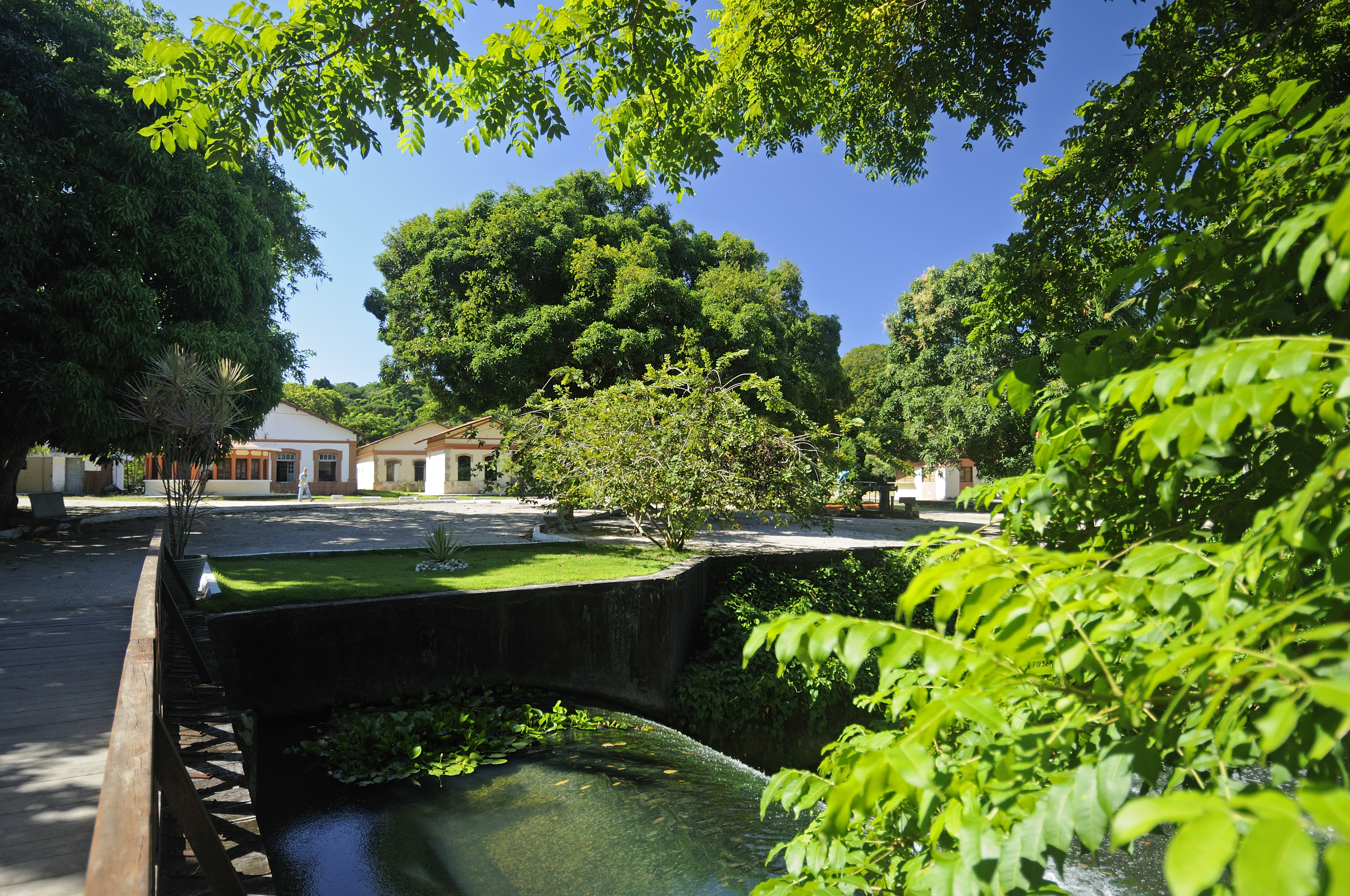 Trilha entre árvores altas do Jardim Botânico Benjamim Maranhão, na Mata do Buraquinho, em João Pessoa, com a luz do sol atravessando a copa fechada