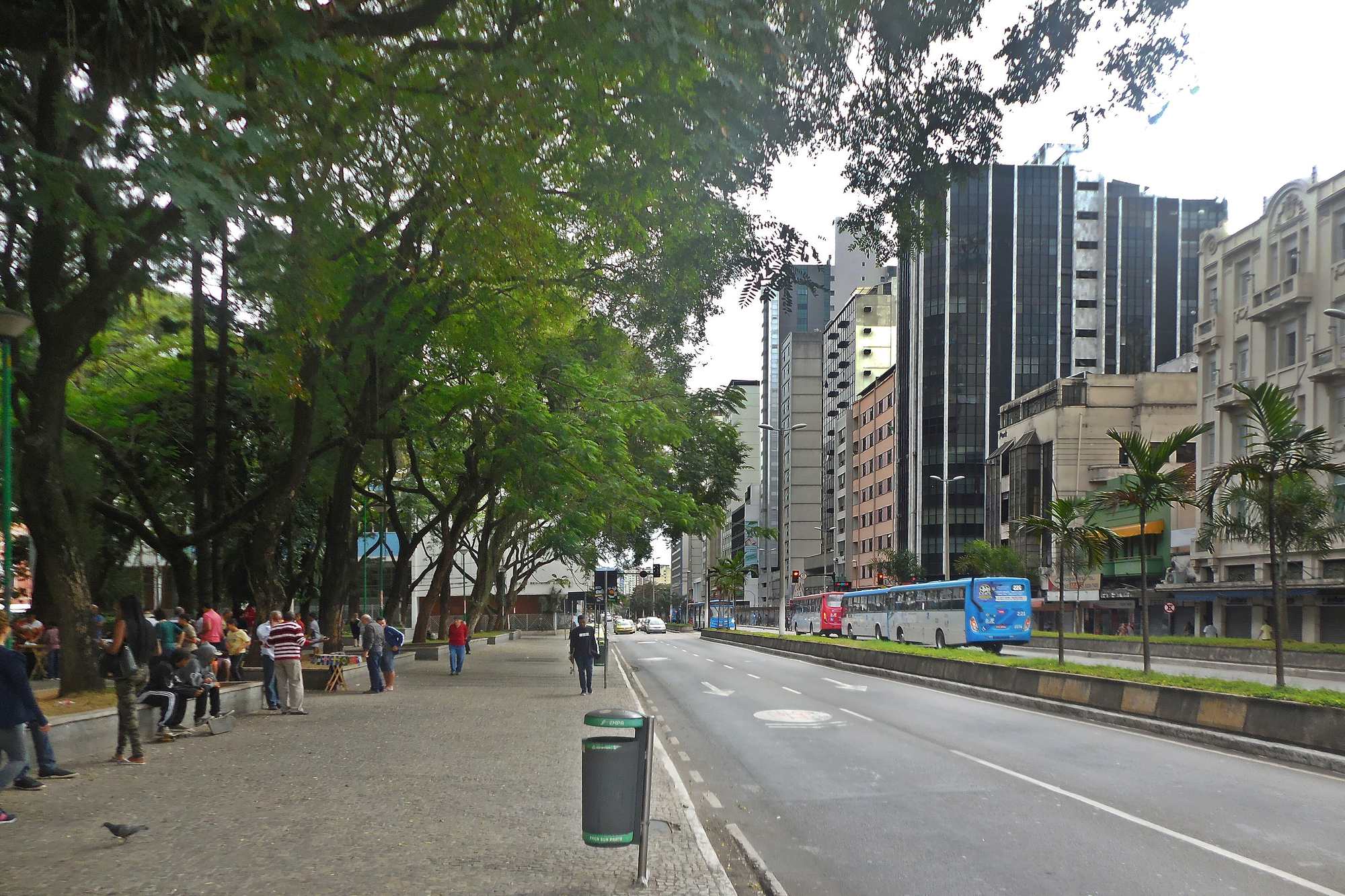 Parque Halfeld, no centro de Juiz de Fora, com árvores altas e bancos ao lado da Avenida Barão do Rio Branco.