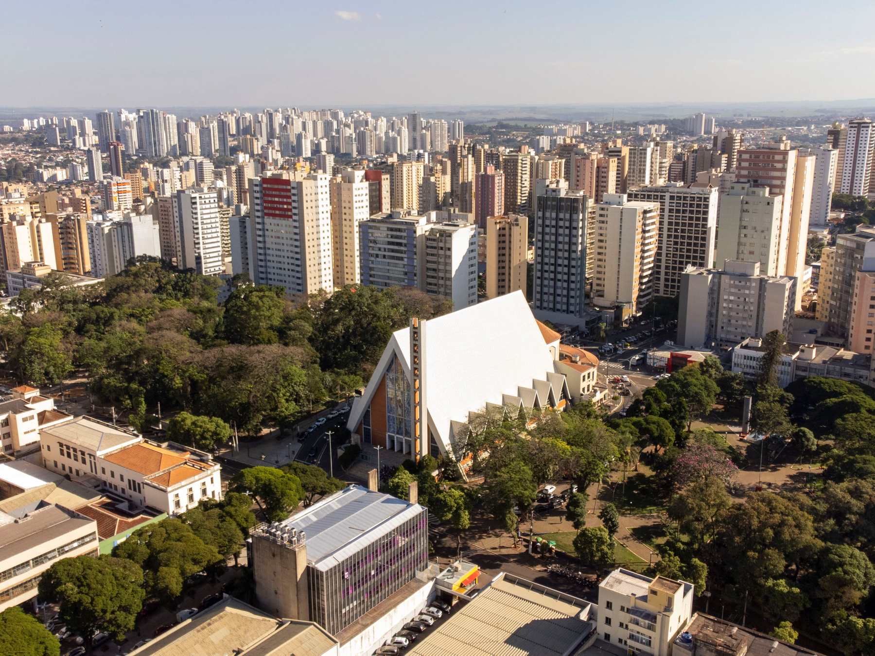 Vista aérea da Catedral Metropolitana de Londrina, de telhado branco pontiagudo, cercada por árvores e pelos prédios do centro, num fim de tarde de céu limpo.