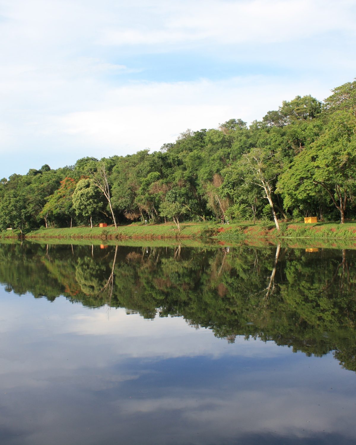 Margem arborizada do lago do Parque Arthur Thomas, em Londrina, com a mata refletida na água parada sob um céu azul com nuvens.