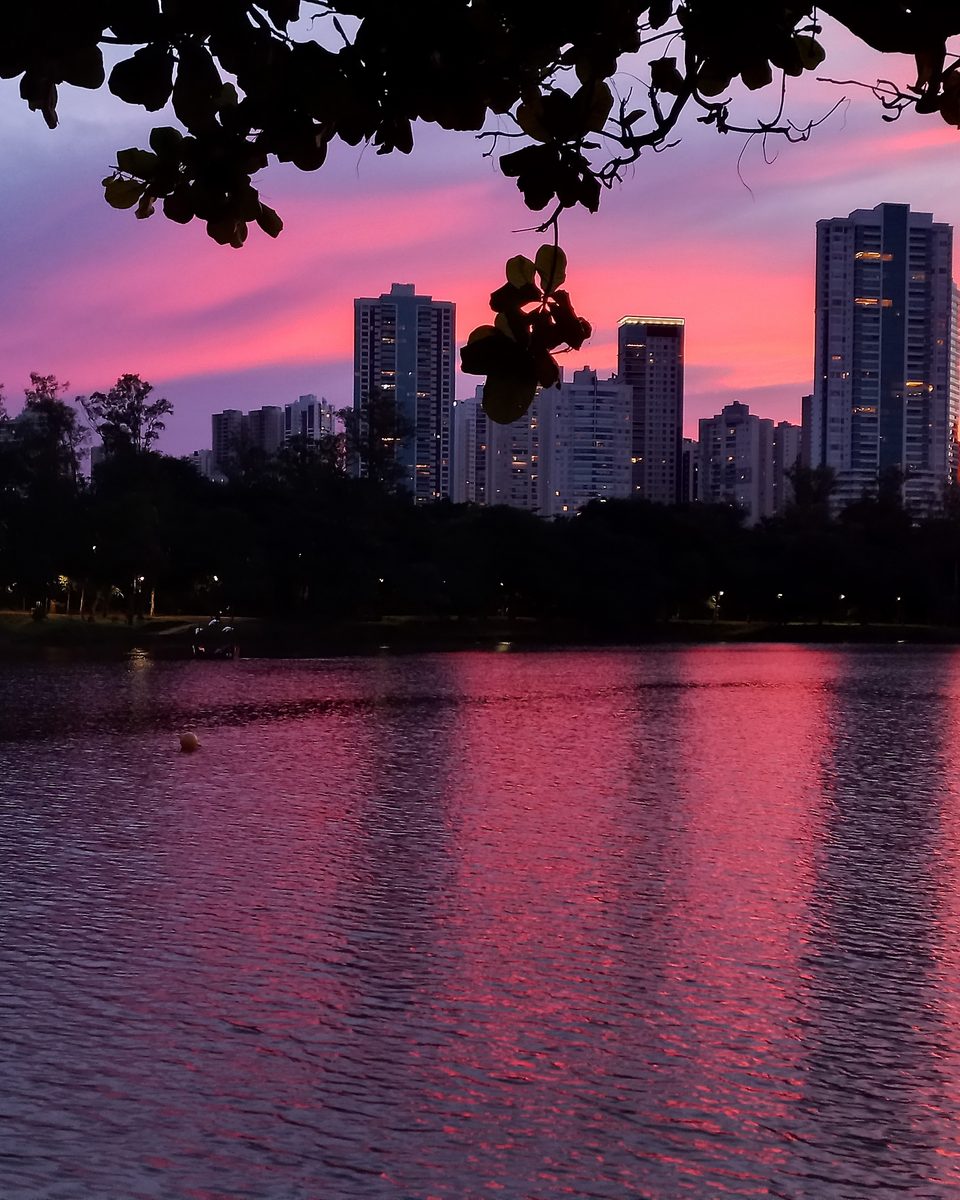 Pôr do sol cor-de-rosa sobre o Lago Igapó, em Londrina, com os prédios da margem refletidos na água e a silhueta de uma árvore em primeiro plano.