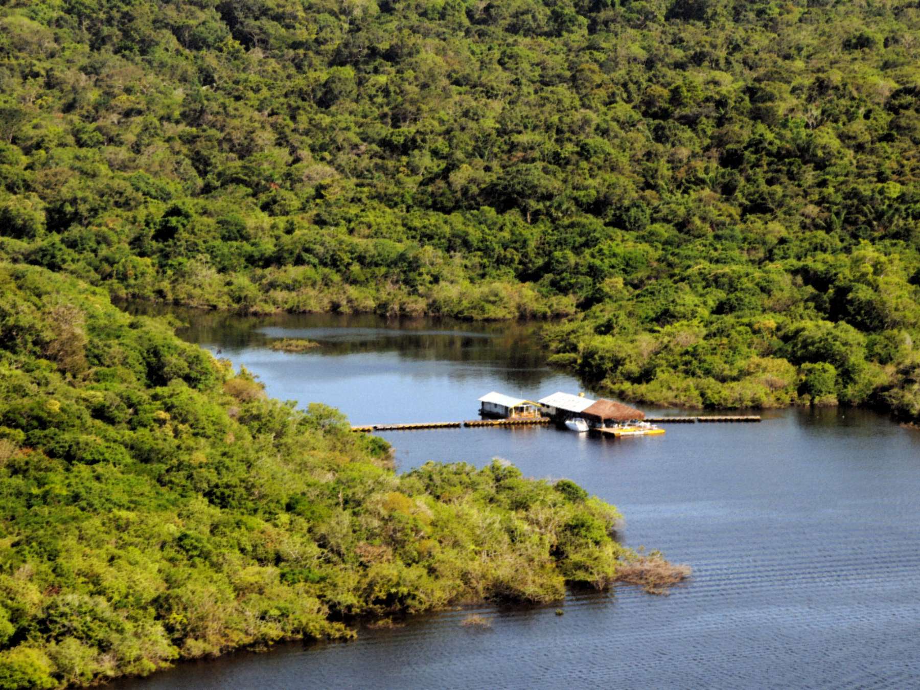 Vista aérea do lago do Tarumã, em Manaus, com água escura, flutuantes de madeira e mata fechada nas duas margens