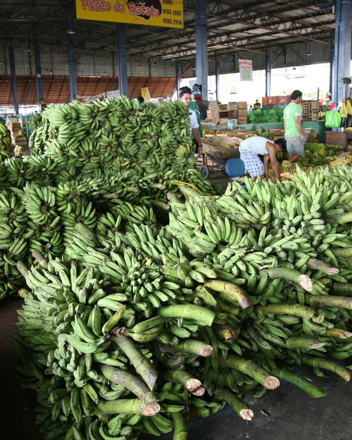 Galpão de banana na feira da Panair, em Manaus, com pilhas de cachos de banana verde no chão e feirantes carregando caixas entre elas.
