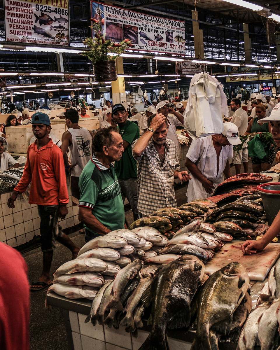 Banca de pescado na feira da Manaus Moderna, com tambaqui e outros peixes sobre o balcão, placas de preço e feirantes atendendo clientes.