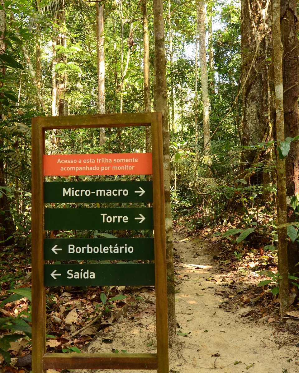 Trilha de terra no Museu da Amazônia, em Manaus, com placas de madeira indicando a torre, o borboletário e a saída, entre árvores altas.