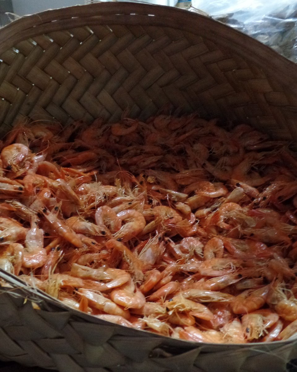 Cesto grande de palha trançada cheio de camarão fresco à venda em uma banca do Mercado Central de São Luís, com outros cestos empilhados ao lado