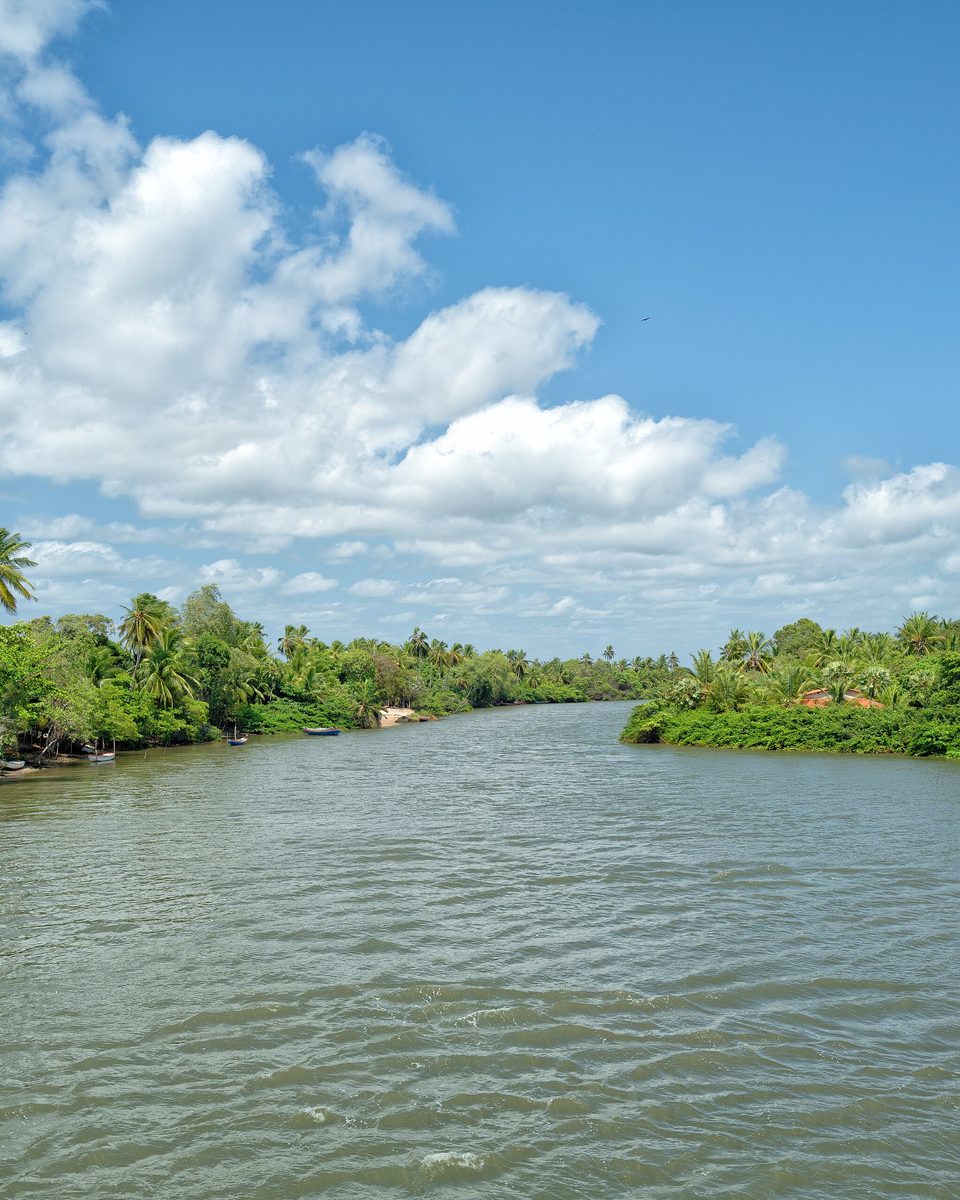 Canal largo de água entre margens de mangue e coqueiros no Delta do Parnaíba, em Tutóia, sob céu azul com nuvens