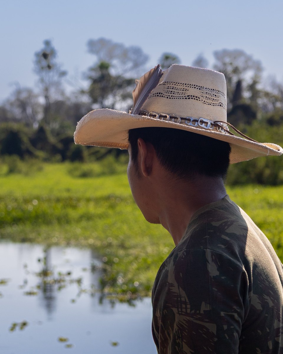 Homem de chapéu de palha observando a planície alagada do Pantanal sul-mato-grossense, com capim verde, água parada e mata no horizonte.