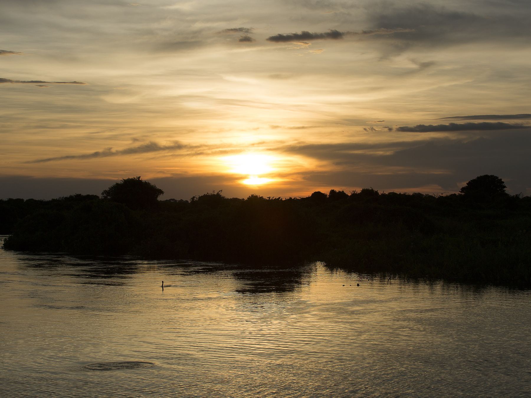 Pôr do sol no Pantanal à beira da Rodovia Transpantaneira em Poconé, com o sol laranja baixo sobre a linha de vegetação e o reflexo na água do rio