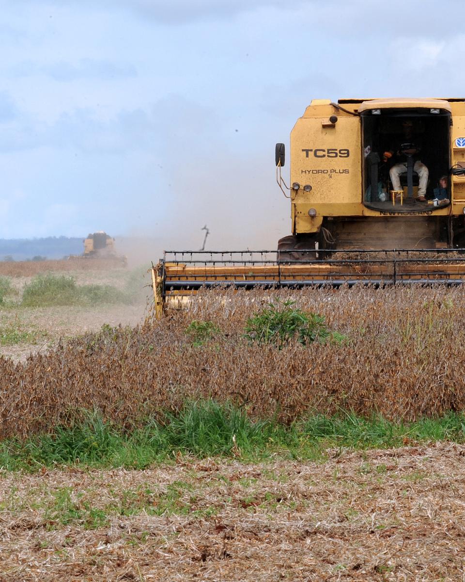 Colheitadeira trabalhando em uma lavoura de soja em fazenda de Rondonópolis, no sul de Mato Grosso.