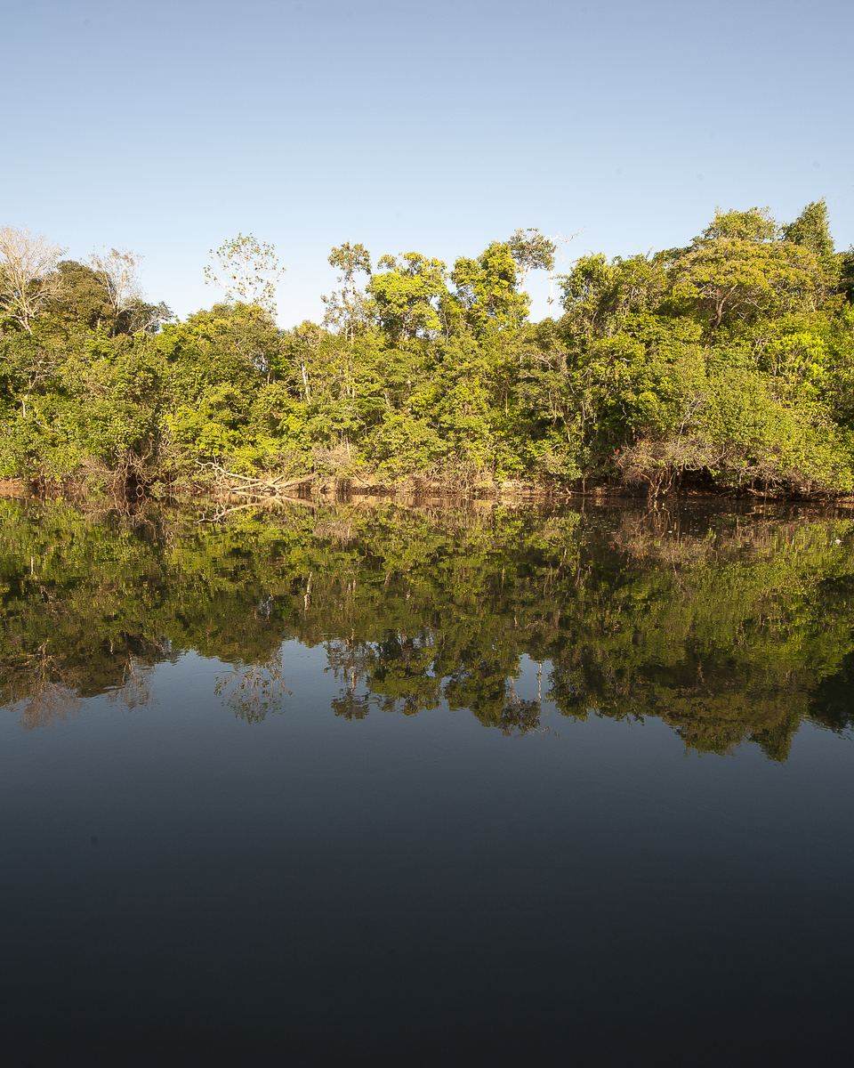 Floresta amazônica refletida nas águas paradas do rio Teles Pires, na região do Parque Estadual Cristalino, no norte de Mato Grosso.