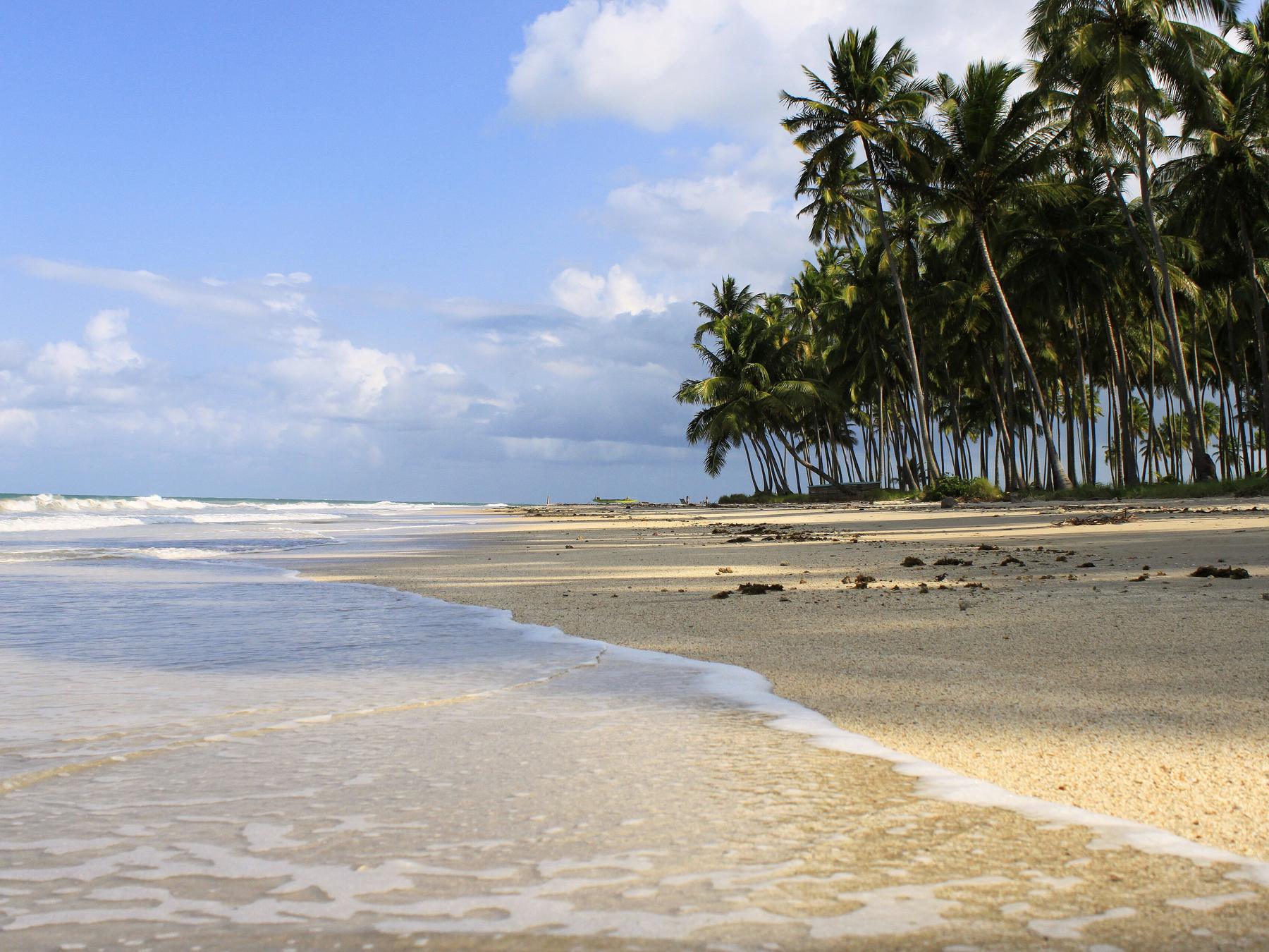 Praia dos Carneiros com a areia clara e a água rasa em primeiro plano e a fileira de coqueiros altos à direita, sob céu azul com nuvens.