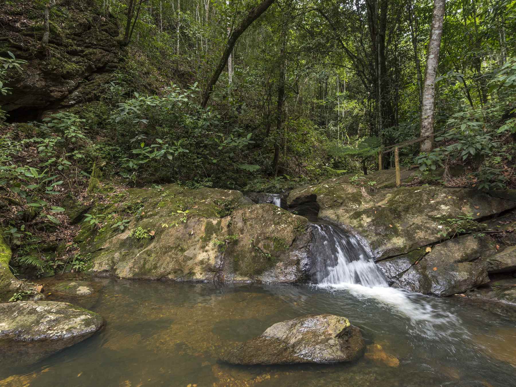 Riacho do Santuário de Vida Silvestre Vagafogo, em Pirenópolis, com uma pequena queda d'água entre pedras cobertas de musgo e a mata fechada em volta.