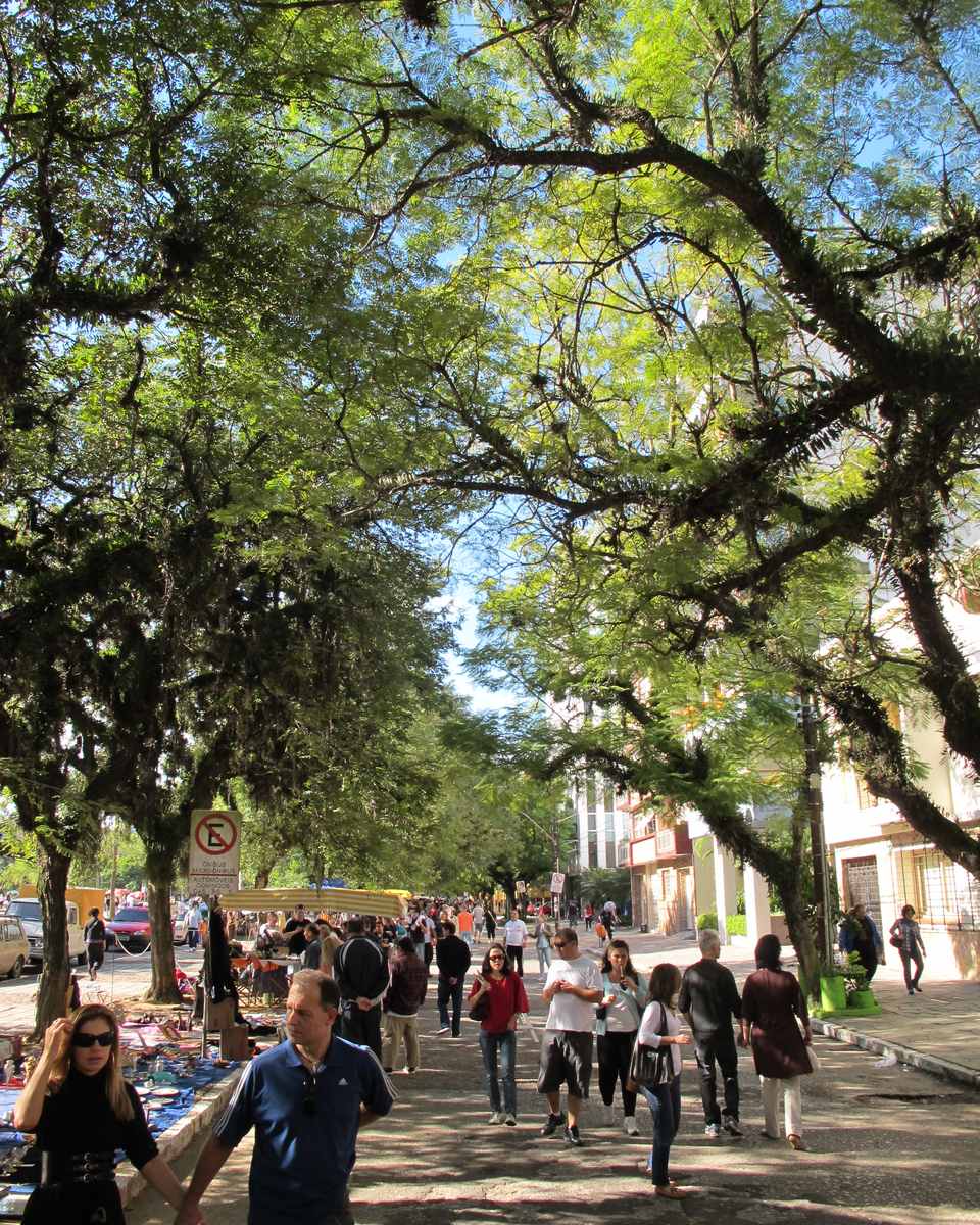 Pessoas caminhando sob as árvores da Avenida José Bonifácio durante o Brique da Redenção, em Porto Alegre, num domingo de sol, com bancas de feira nos dois lados.