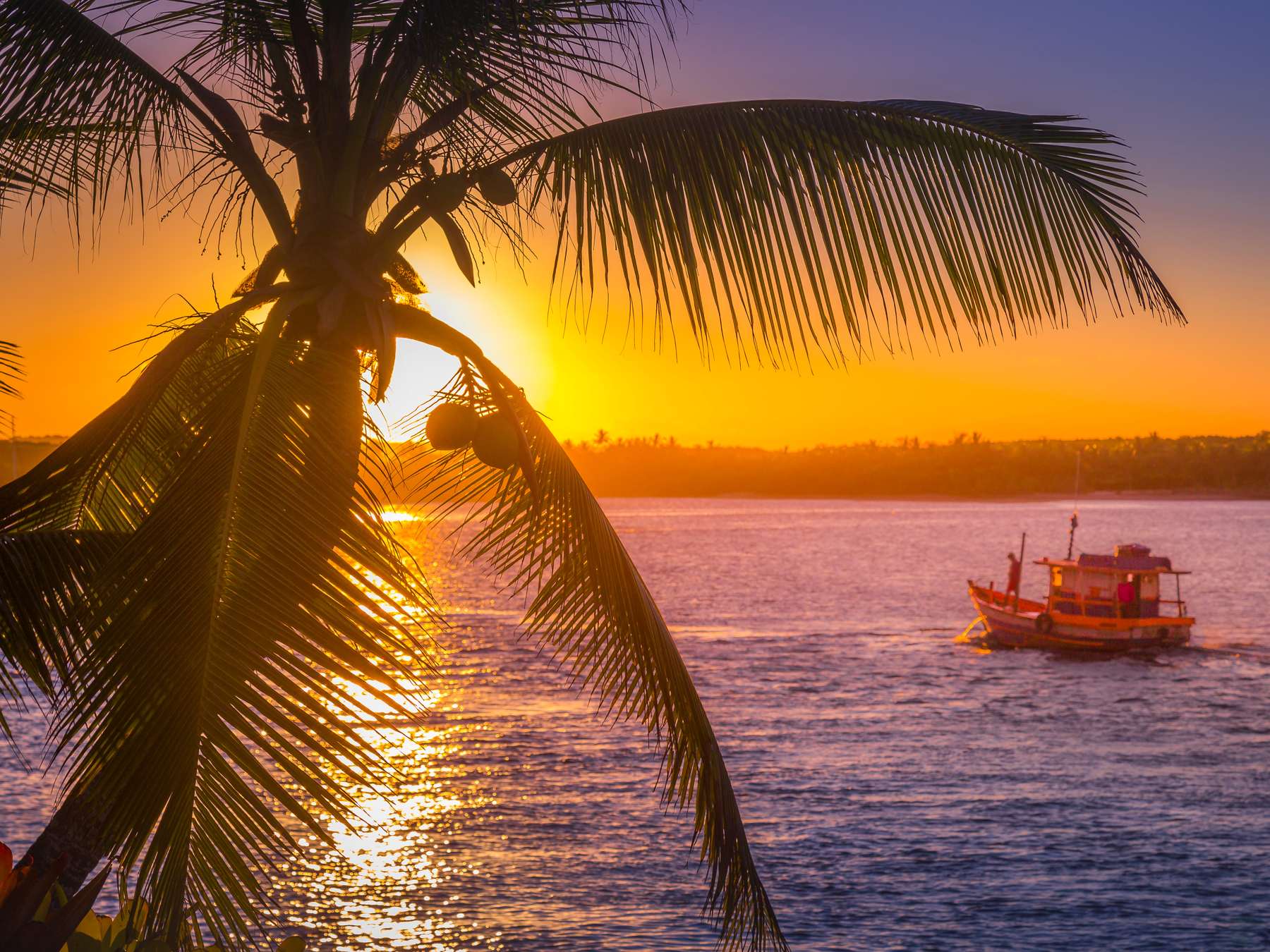 Silhueta de um coqueiro contra o pôr do sol laranja sobre o mar de Porto Seguro, com um barco de pesca vermelho ancorado na água dourada.