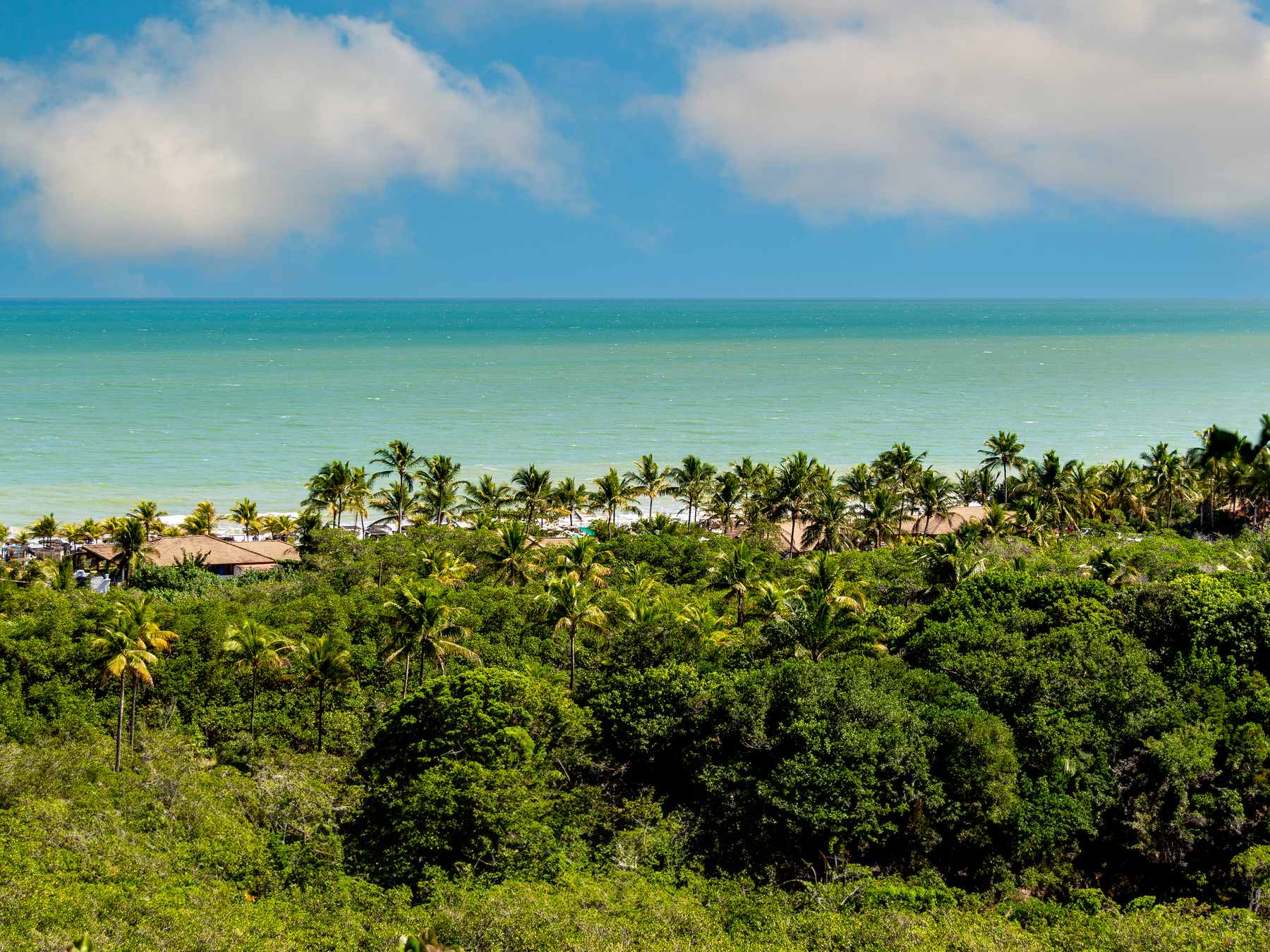 Praia dos Nativos, em Trancoso, vista do alto da falésia, com o coqueiral e a mata em primeiro plano e o mar verde-azulado até o horizonte.