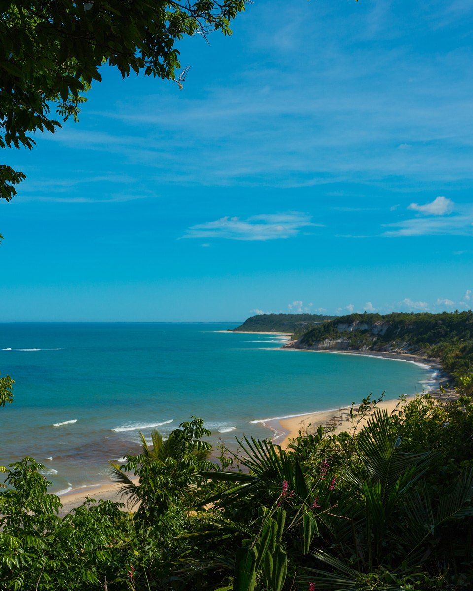 Praia do Espelho vista do alto entre as árvores da mata atlântica, com o mar azul-turquesa, a faixa de areia em curva e as falésias ao fundo.