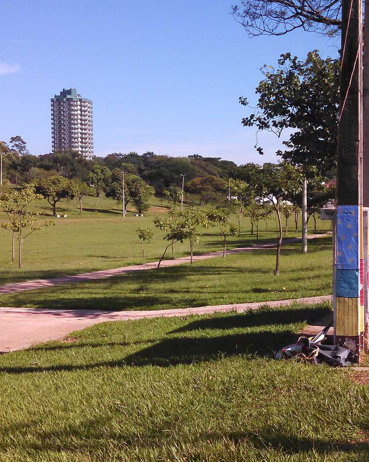 Gramado e árvores do Parque do Povo, em Presidente Prudente, num dia de céu azul.