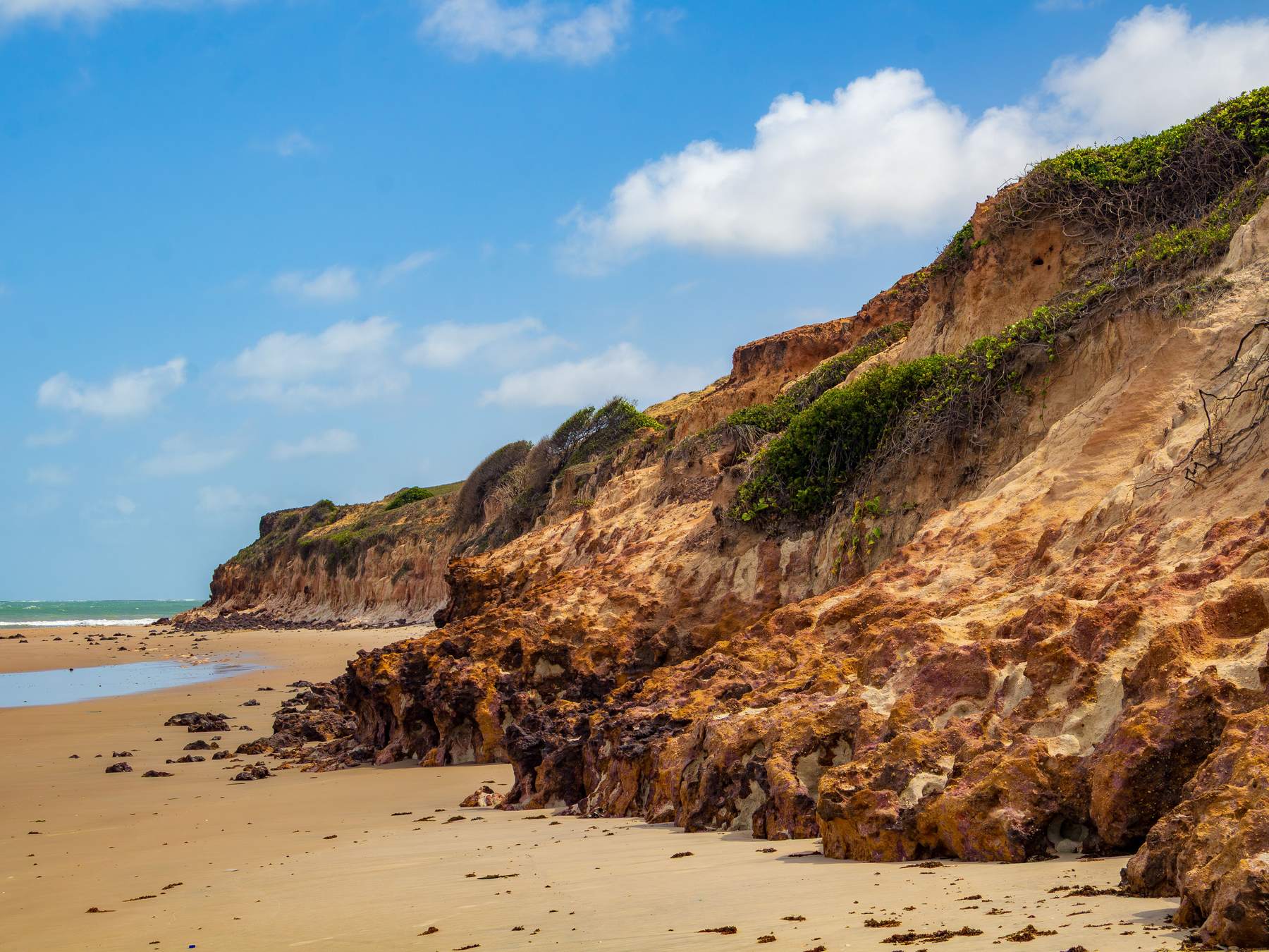 Falésias avermelhadas cobertas de vegetação rente à faixa de areia em uma praia de Maxaranguape, com o mar à esquerda