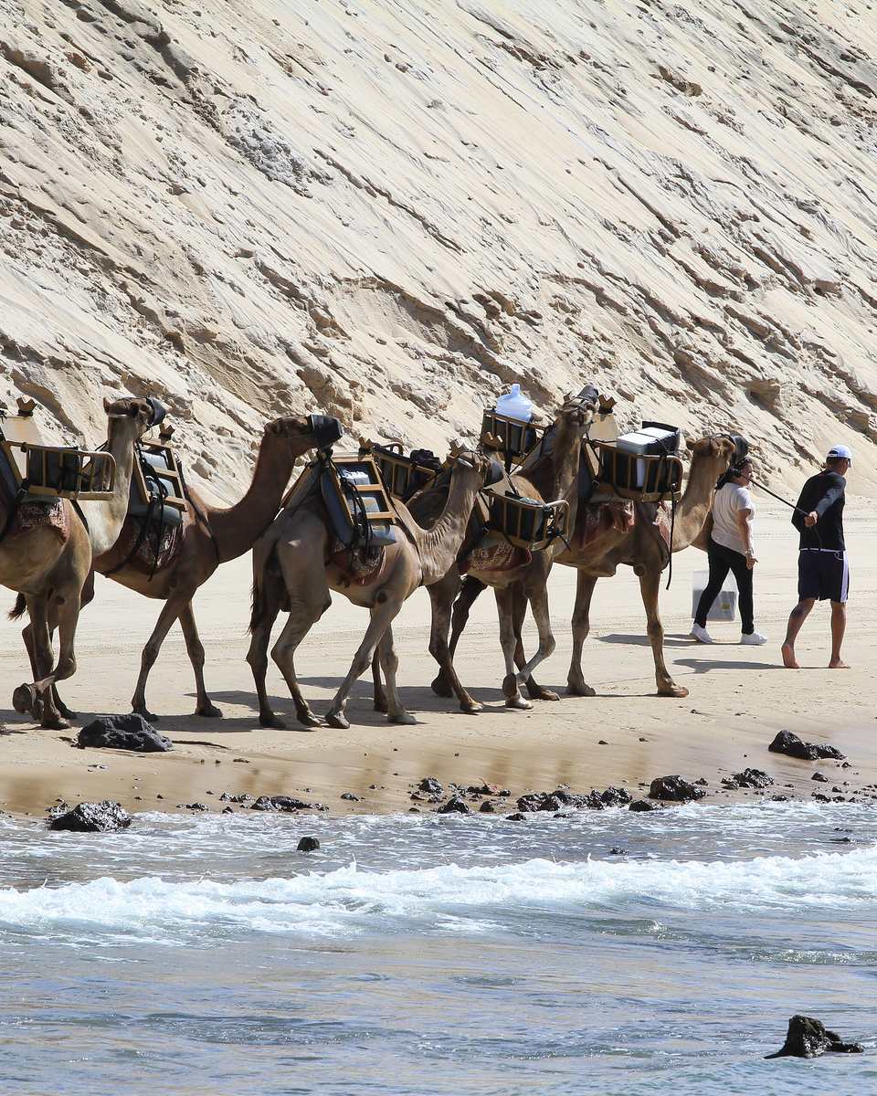 Buggy subindo uma duna de areia clara em Genipabu, em Extremoz, com visitantes a bordo