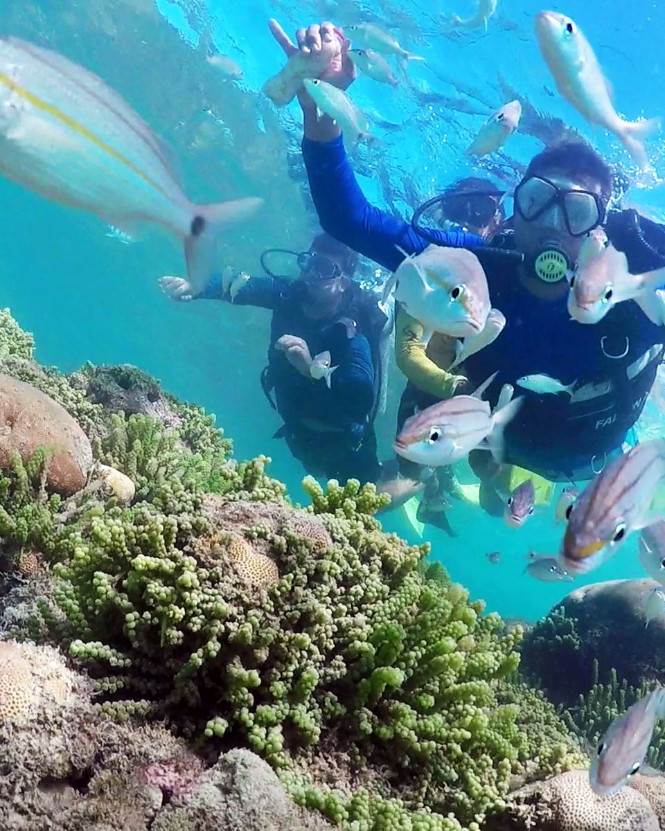 Mergulhadores entre cardumes de peixes e corais na água transparente dos recifes do litoral norte potiguar