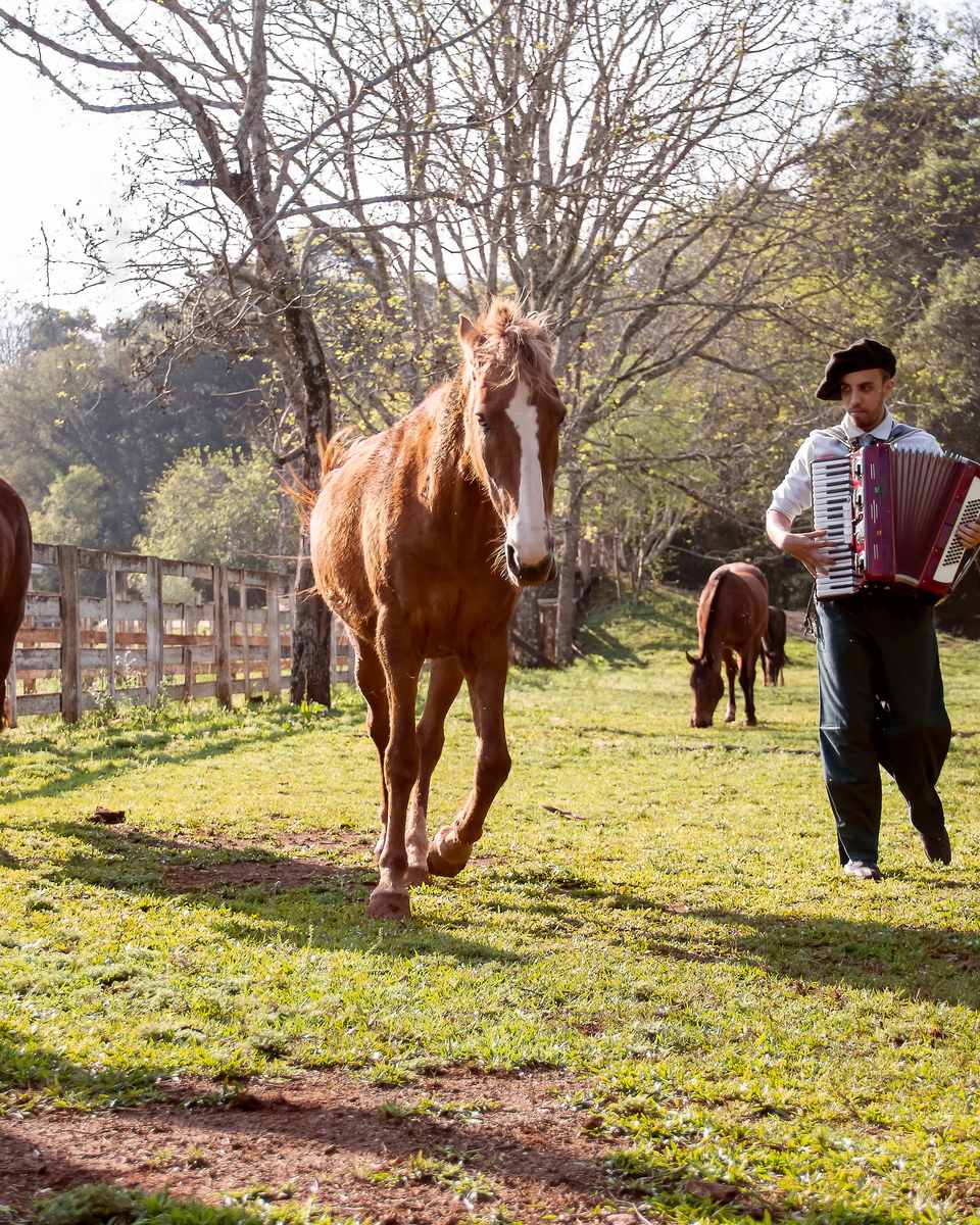 Gaúcho de bombacha e chapéu tocando gaita no campo, com cavalos crioulos soltos no pasto e árvores ao fundo.
