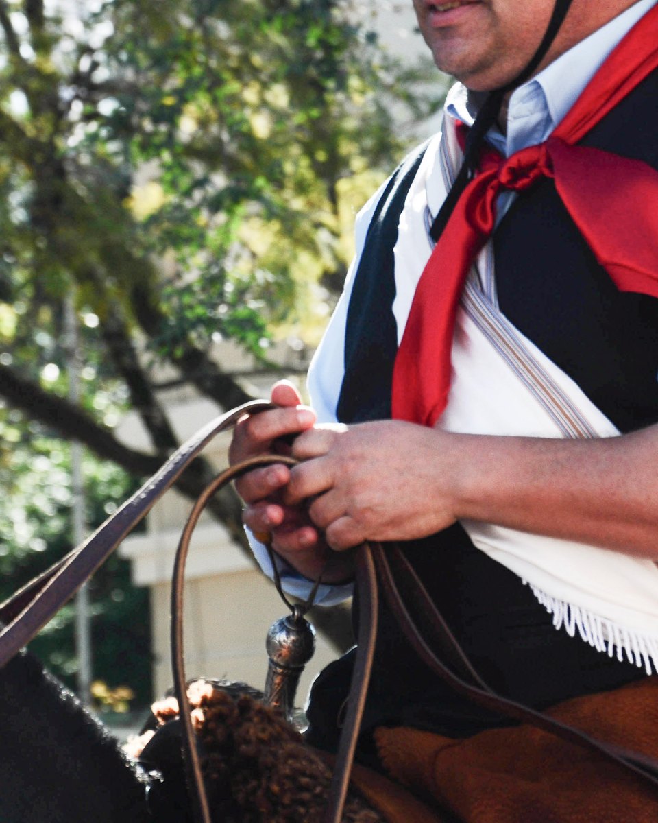 Peão de lenço vermelho, colete preto e camisa branca segurando as rédeas do cavalo durante o desfile de 20 de Setembro em Alegrete.