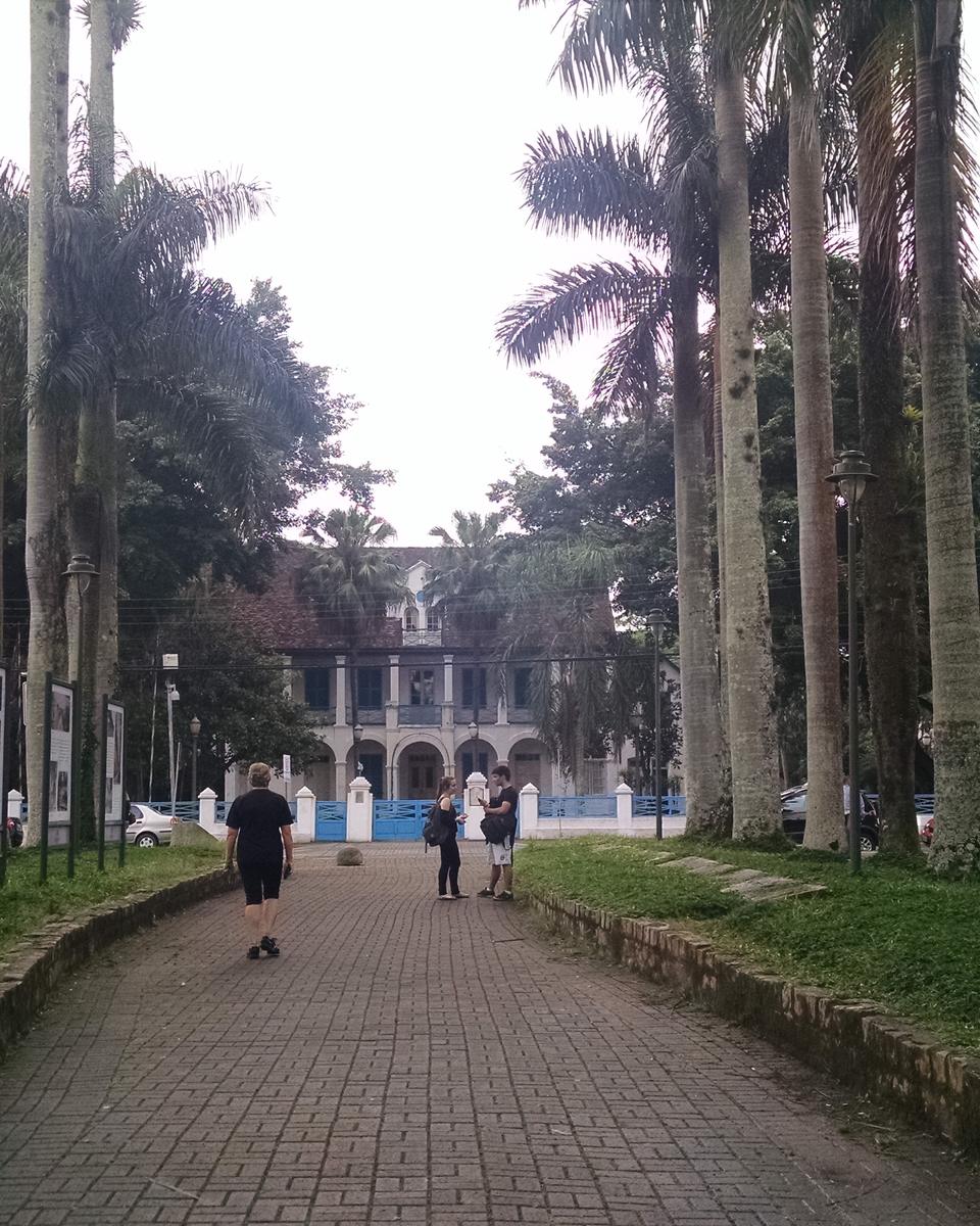 Alameda de calçamento vermelho ladeada por palmeiras-imperiais altas na Rua das Palmeiras, em Joinville, com pedestres caminhando e o Museu Nacional de Imigração e Colonização ao fundo.
