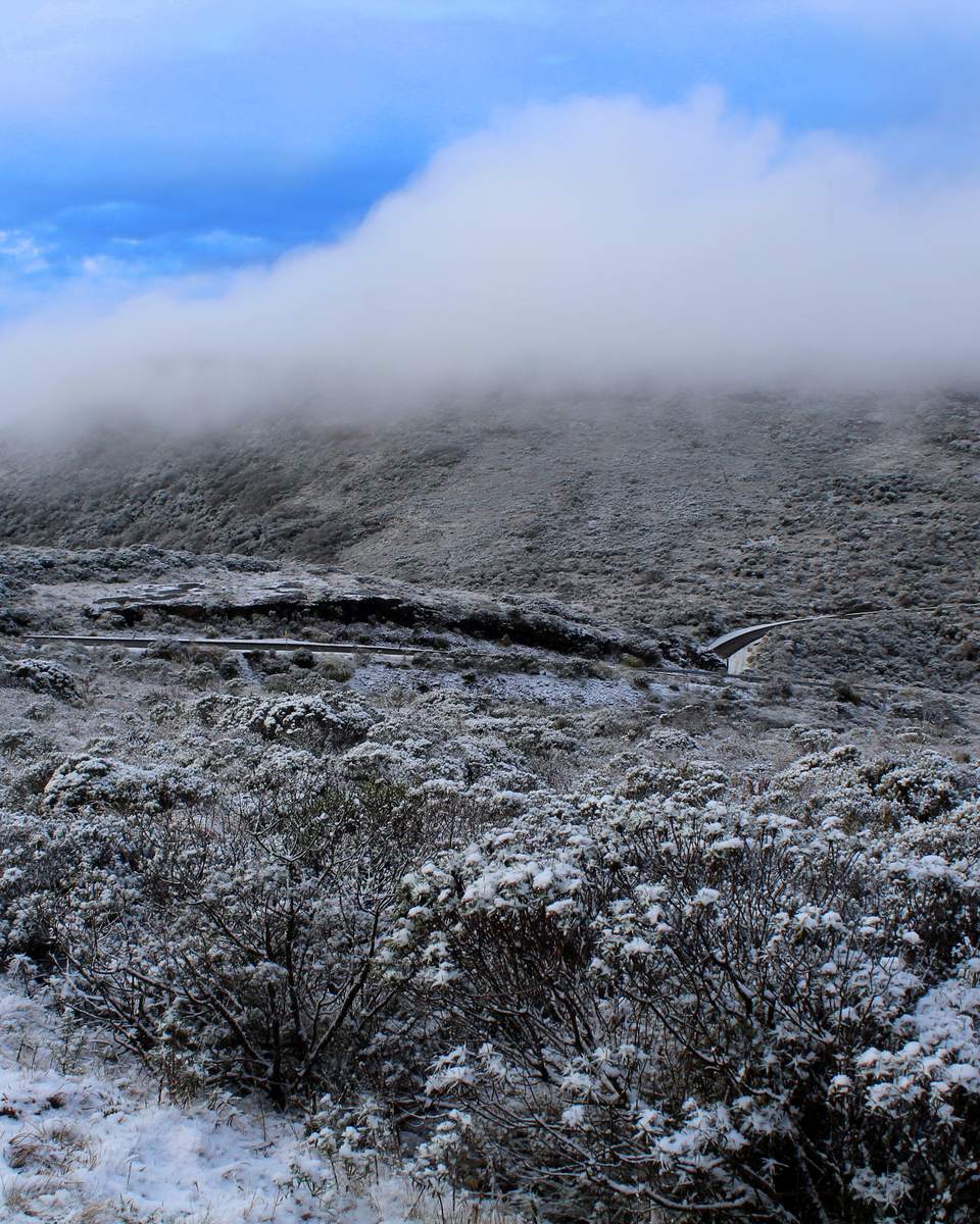 Campo de altitude coberto de neve no Parque Nacional de São Joaquim, com a vegetação baixa branca e uma nuvem descendo pela encosta do morro.